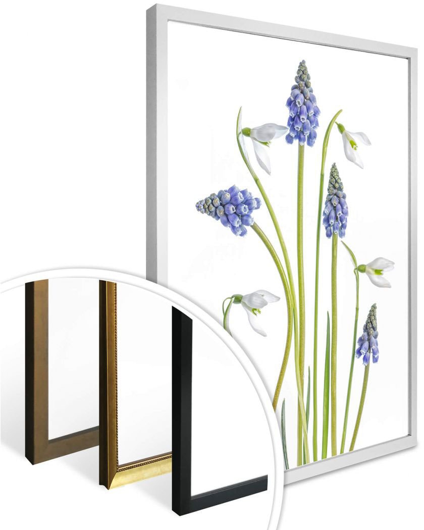Wall-Art Poster »Frühjahrsblüher«, Blumen, (1 St.), Poster ohne Bilderrahmen