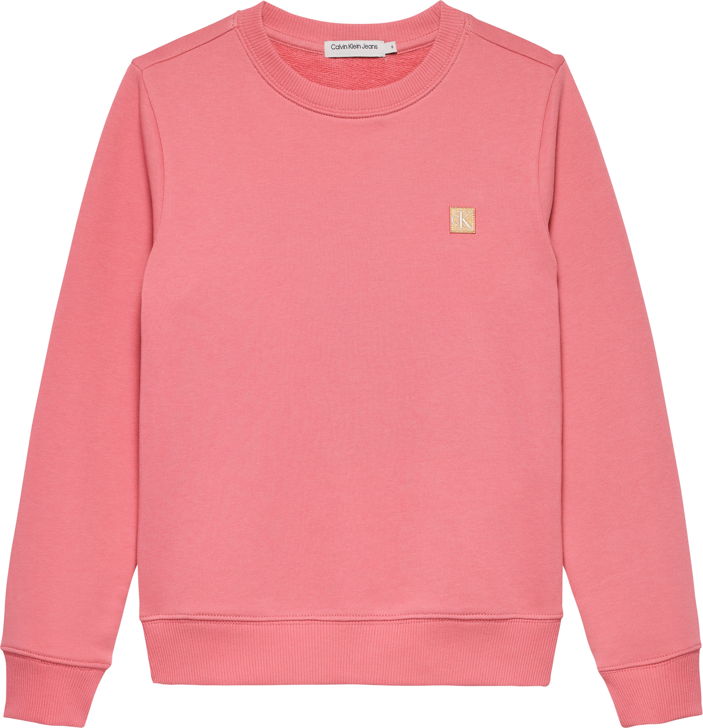 Calvin Klein Jeans Sweatshirt »MONO MINI BADGE REG CN«, für Kinder bis 16 Jahre mit Logoschriftzug
