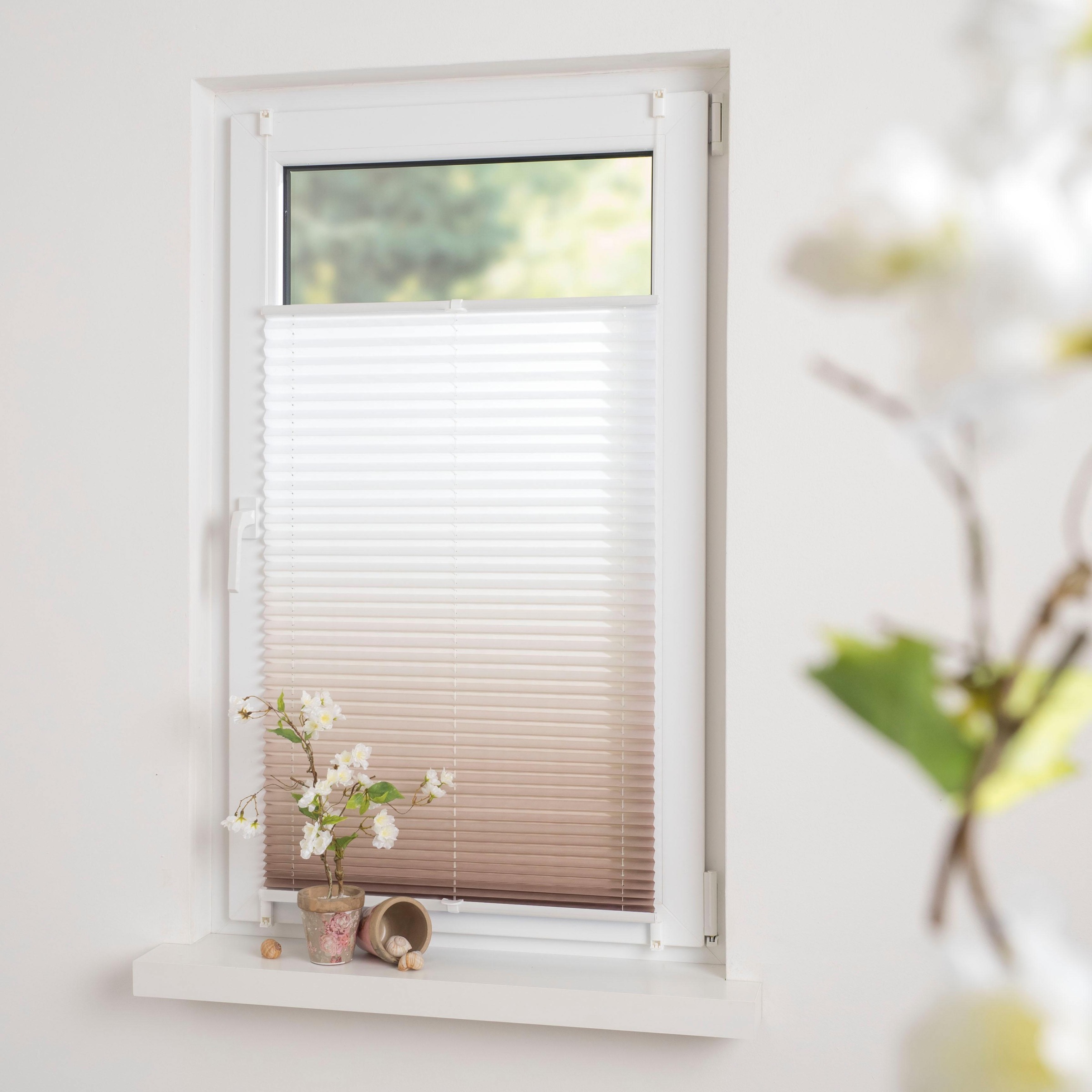 Liedeco Plissee »Farbverlauf« Lichtschutz ohne Bohren verspannt