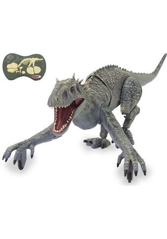 RC-Tier »Dinosaurier Exoraptor, Li-Ion 3,7V, 2,4GHz, grau«, mit Licht und Sound