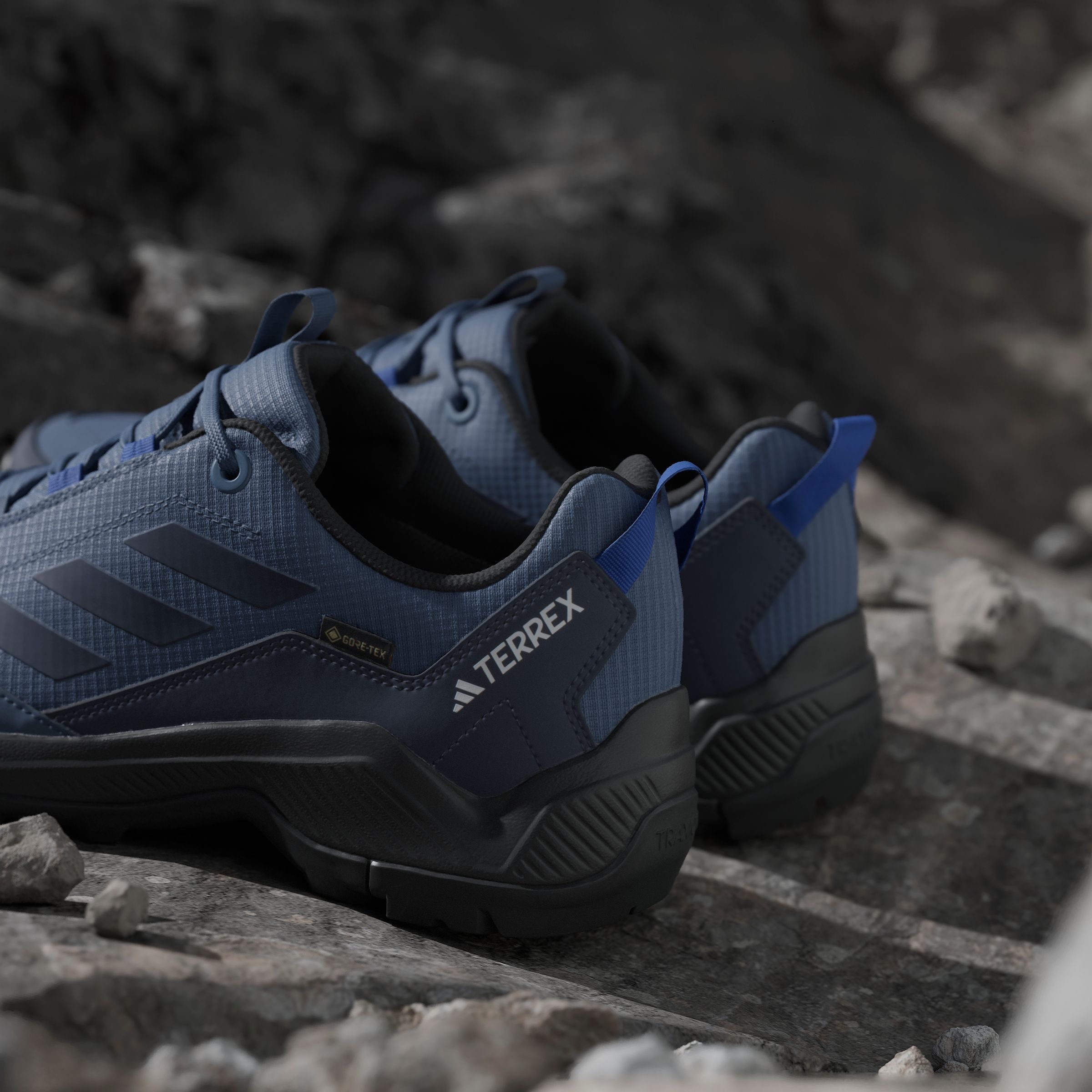 adidas TERREX Wanderschuh »TERREX EASTRAIL GORE-TEX«