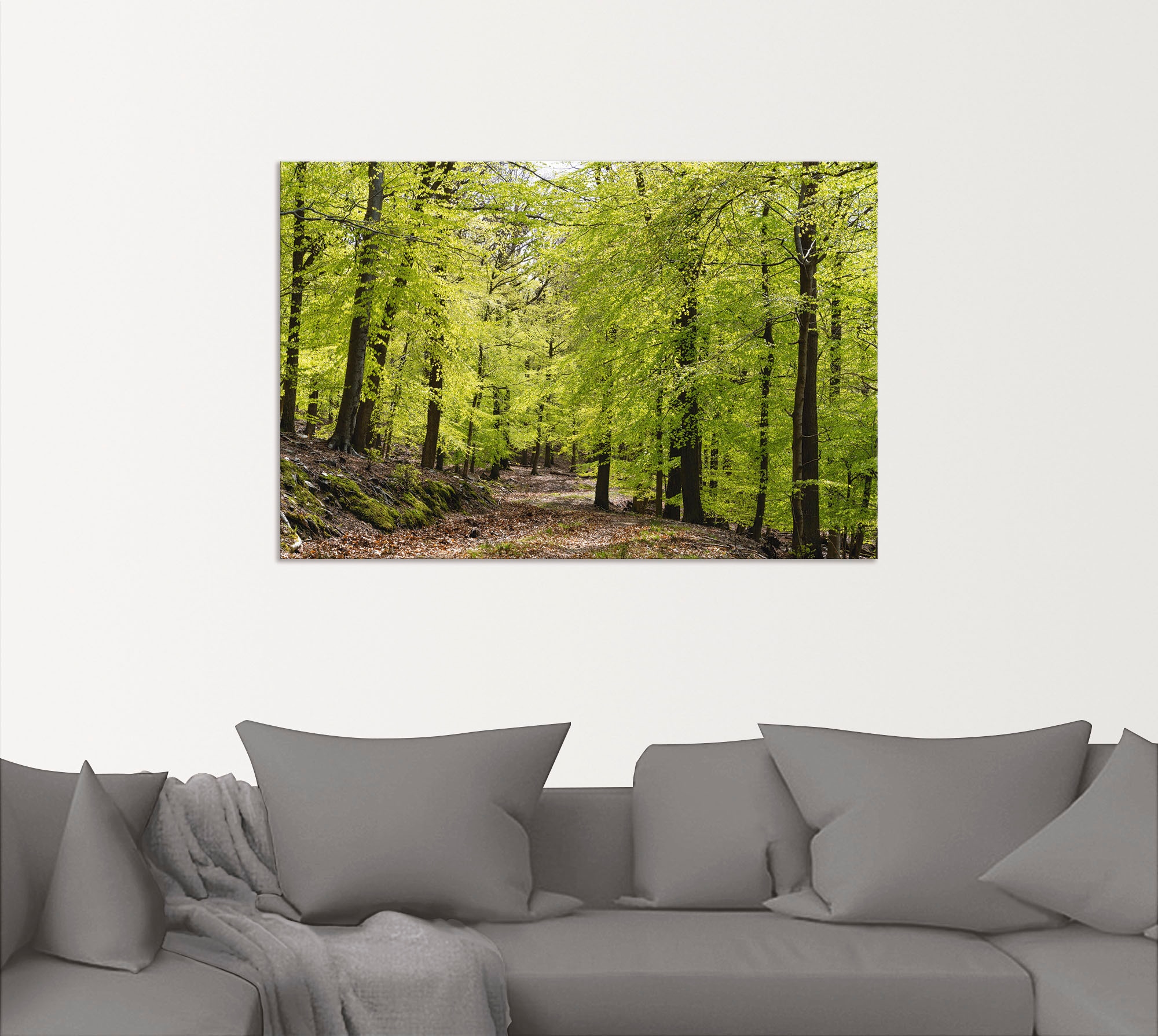 Artland Wandbild (1 bequem als Wald, Größen in Alubild, St.), Frühling«, im Buchen Leinwandbild, Wandaufkleber versch. »Die oder kaufen Poster