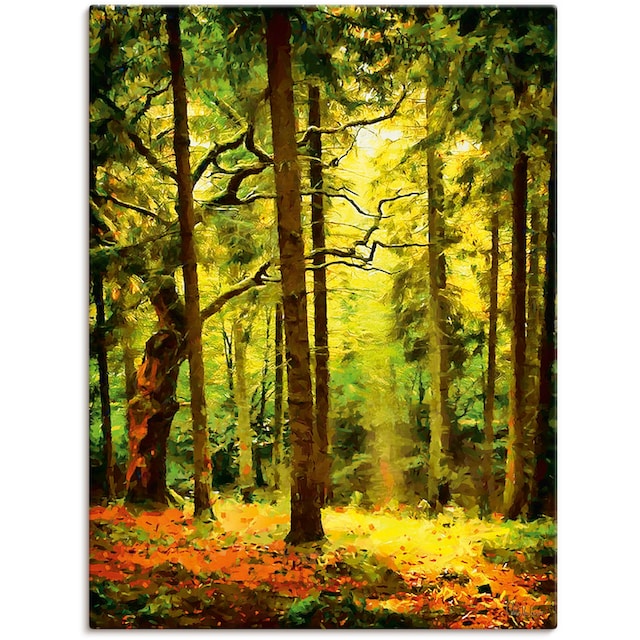 Artland Wandbild »Wald II«, Waldbilder, (1 St.), als Alubild, Leinwandbild,  Wandaufkleber oder Poster in versch. Größen bequem kaufen