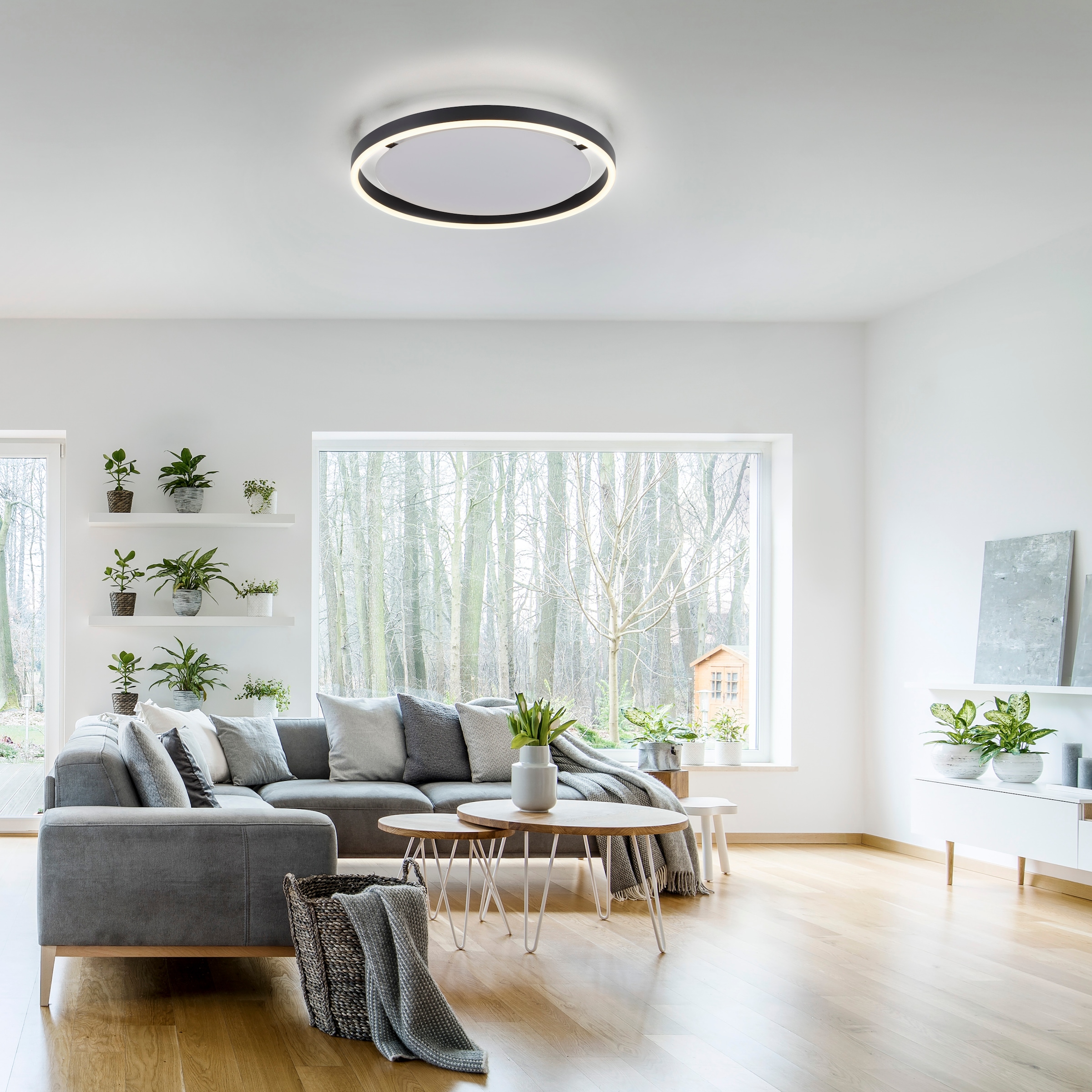 JUST LIGHT Deckenleuchte »RITUS«, 1 flammig, Leuchtmittel LED-Board | LED fest integriert, LED, dimmbar, Switchmo, dimmbar, Switchmo