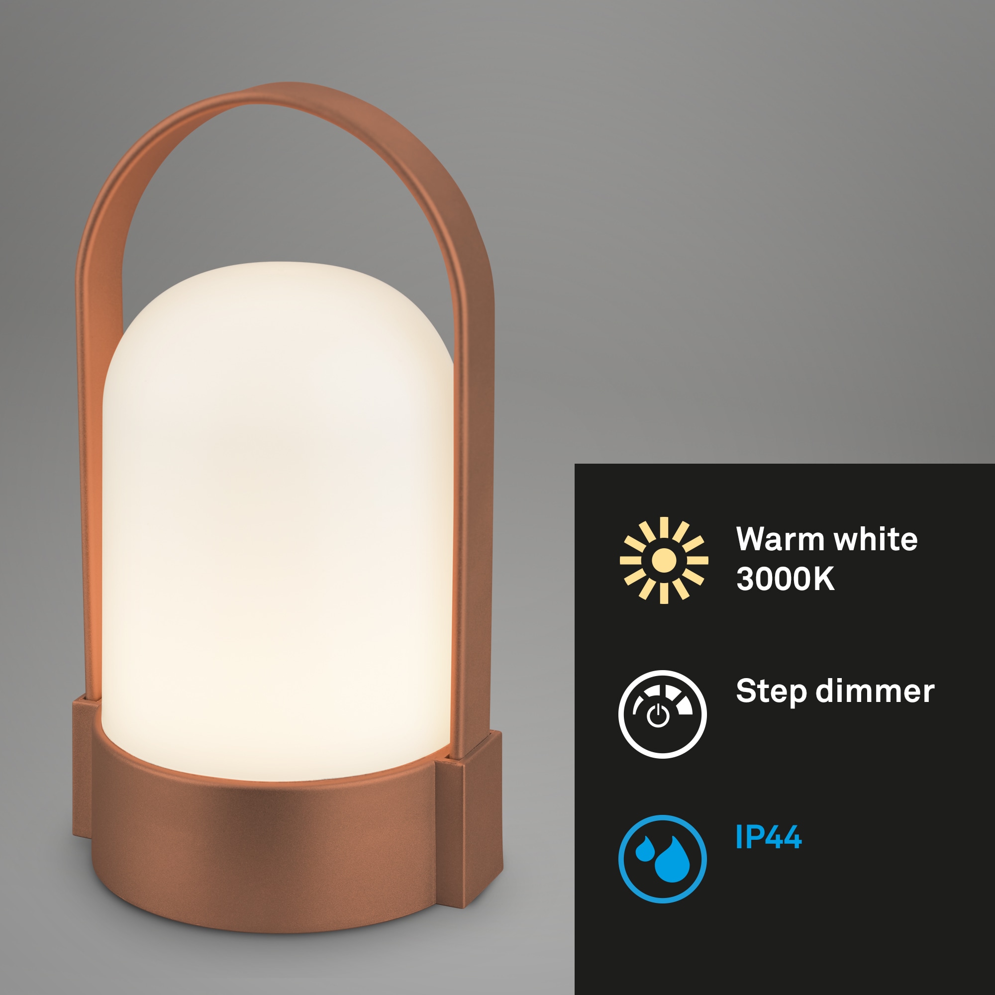 Briloner Leuchten LED Außen-Tischleuchte »ASA 7544013«