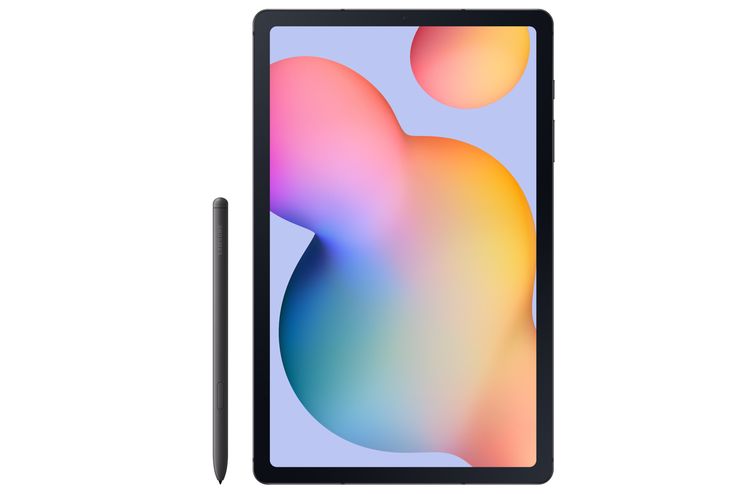 Galaxy Tab S6 Lite (2024 Edition)