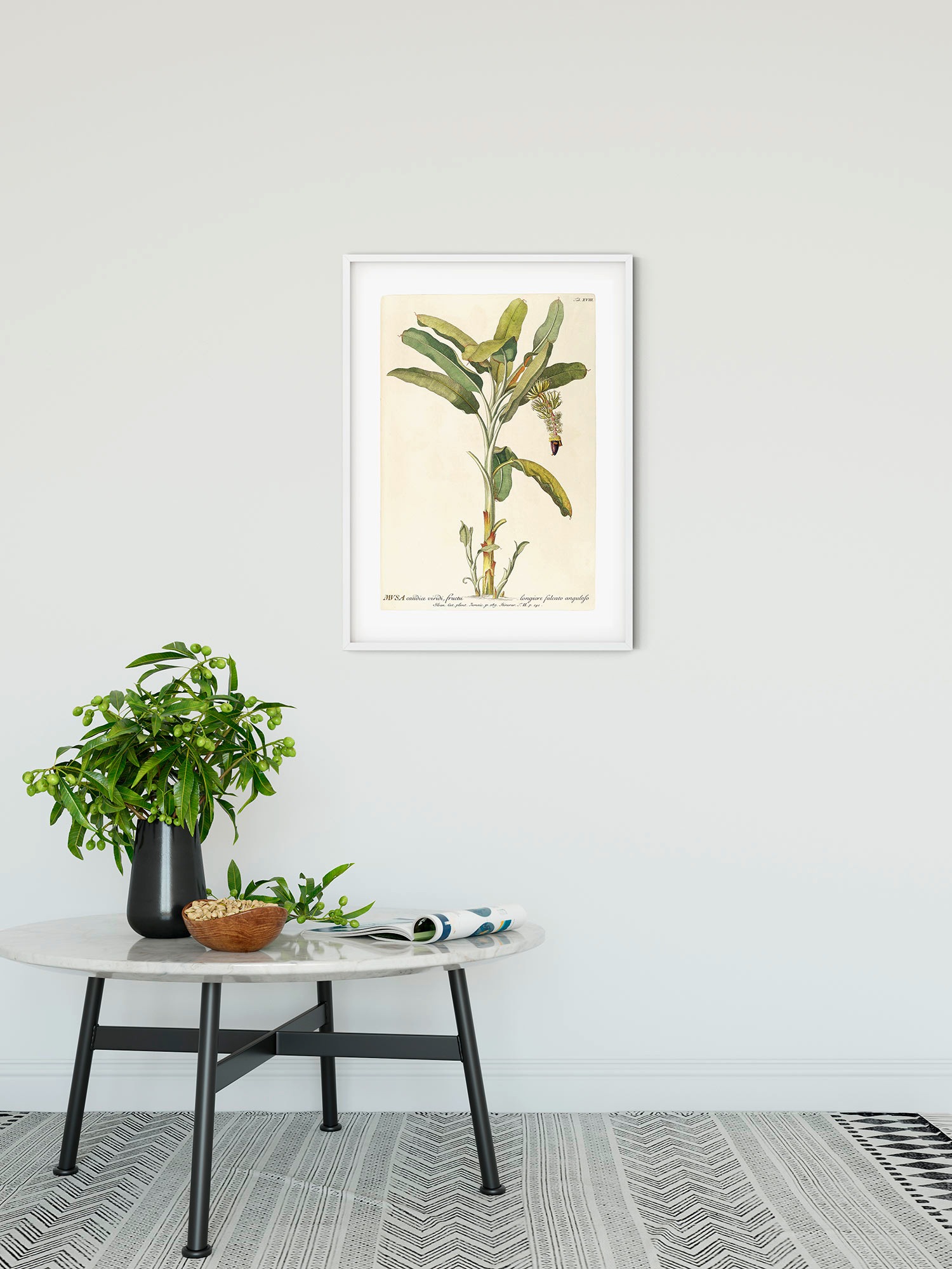 Komar Bild »Rainforest Sapling«, Natur, (1 St.), Wandbild zur Dekoration - ohne Rahmen