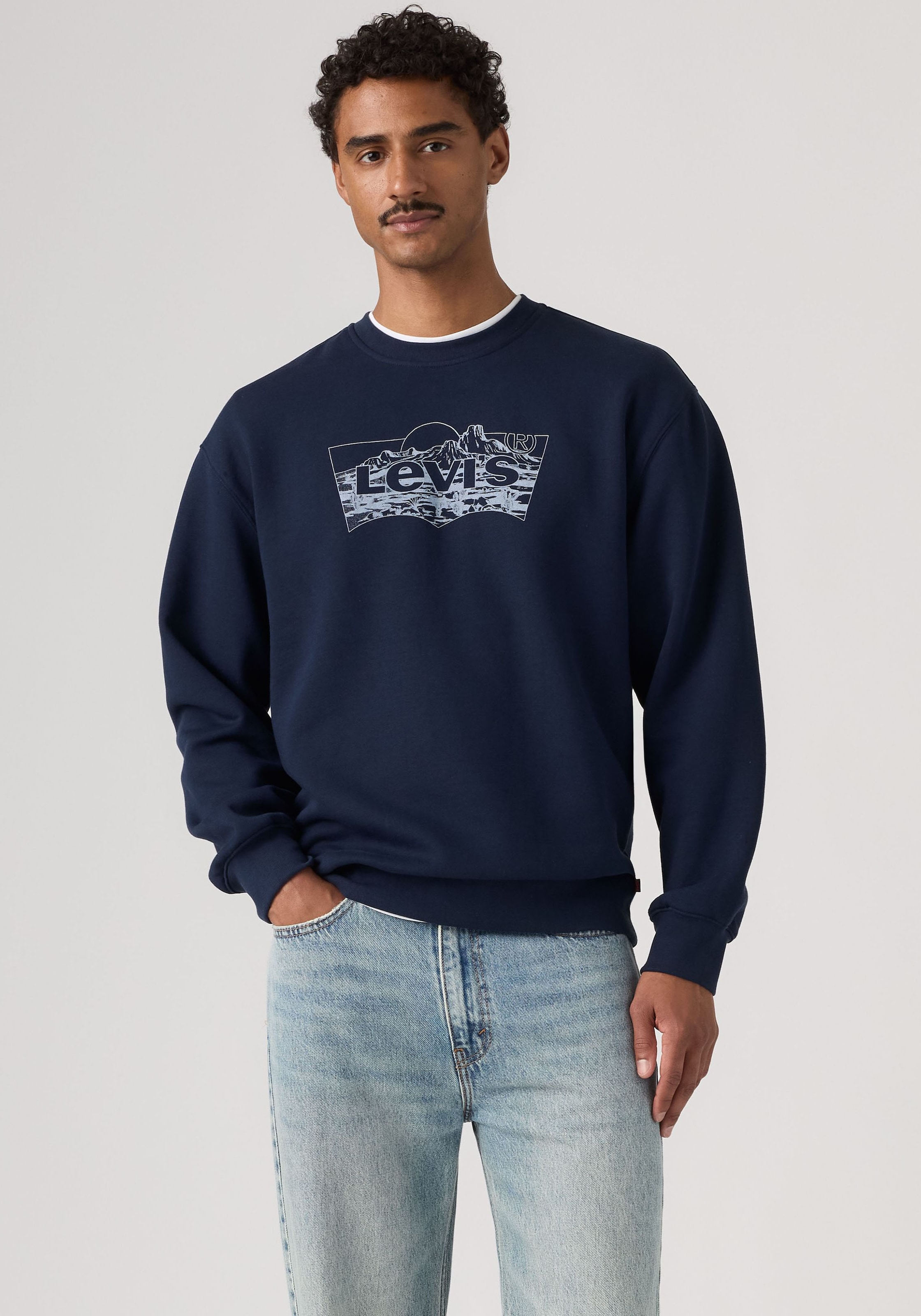 Levi's® Sweatshirt »RELAXD GRAPHIC CREW NEUTRALS«
