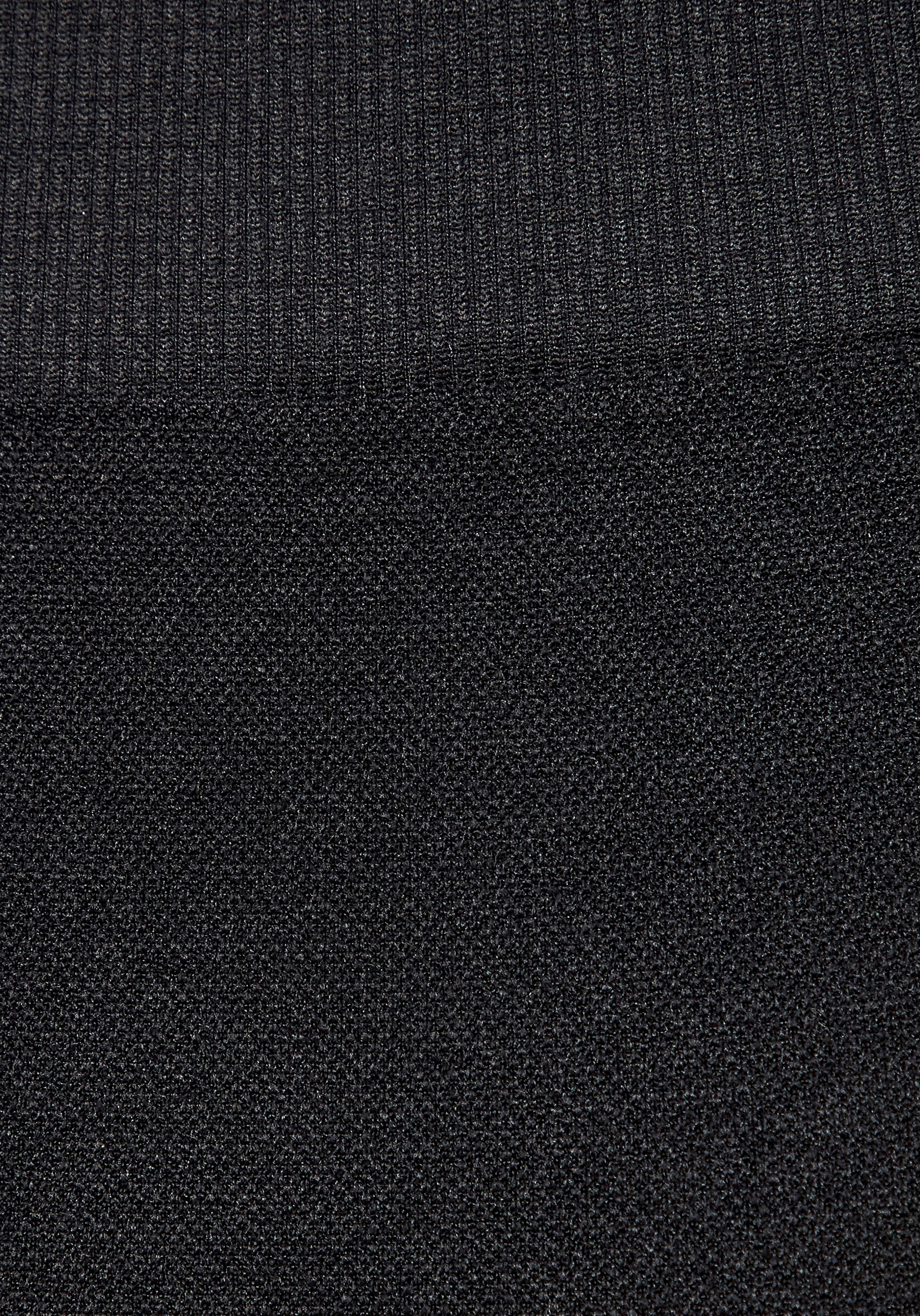 Copenhagen Studios Seamless Shorts  Seamless High Waist Design