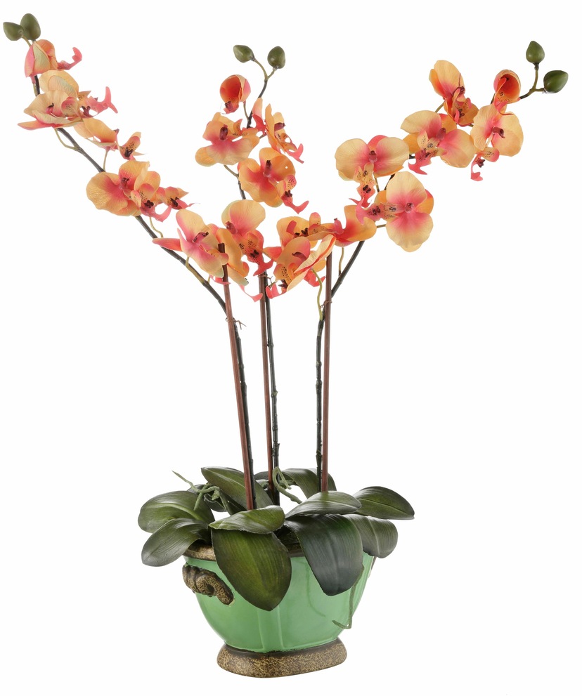 bestellen Arrangement Botanic-Haus Korb« auf im Erika »Lavendel Raten Künstliche Zimmerpflanze -