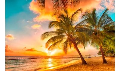 Papermoon Fototapete »Barbados Palm Beach«, matt, Vlies, 5 Bahnen, 250 x 180 cm kaufen