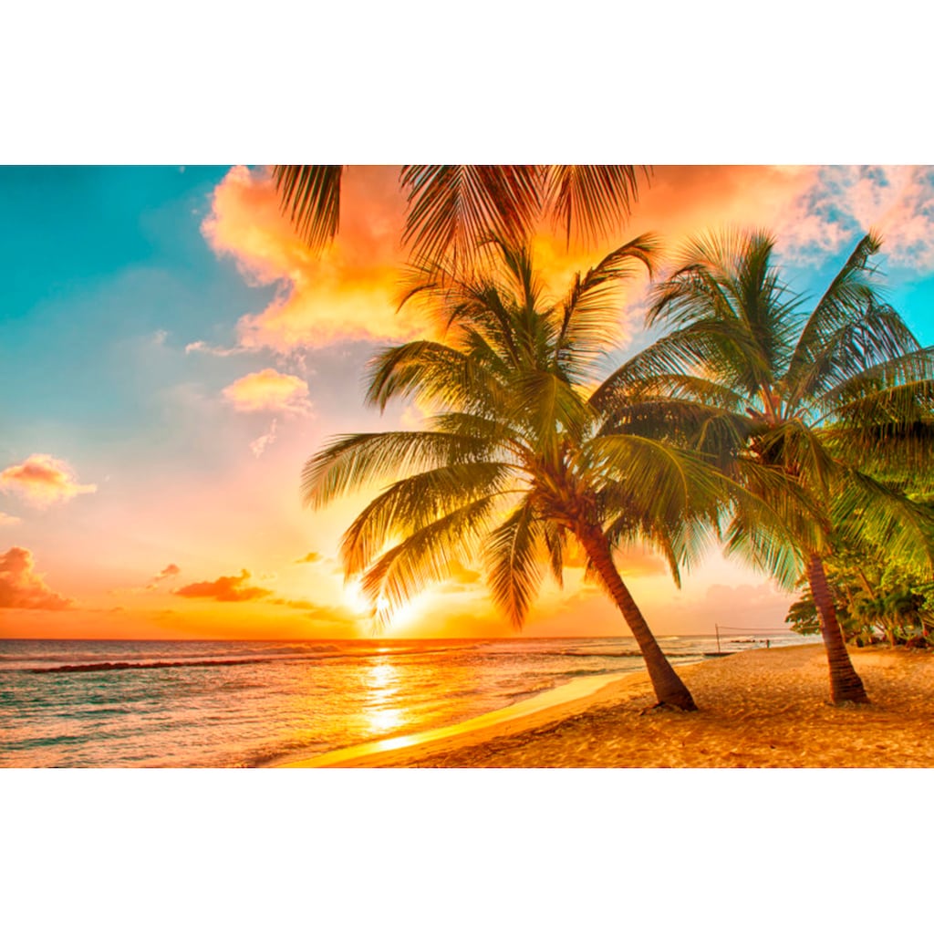 Papermoon Fototapete »Barbados Palm Beach«, matt