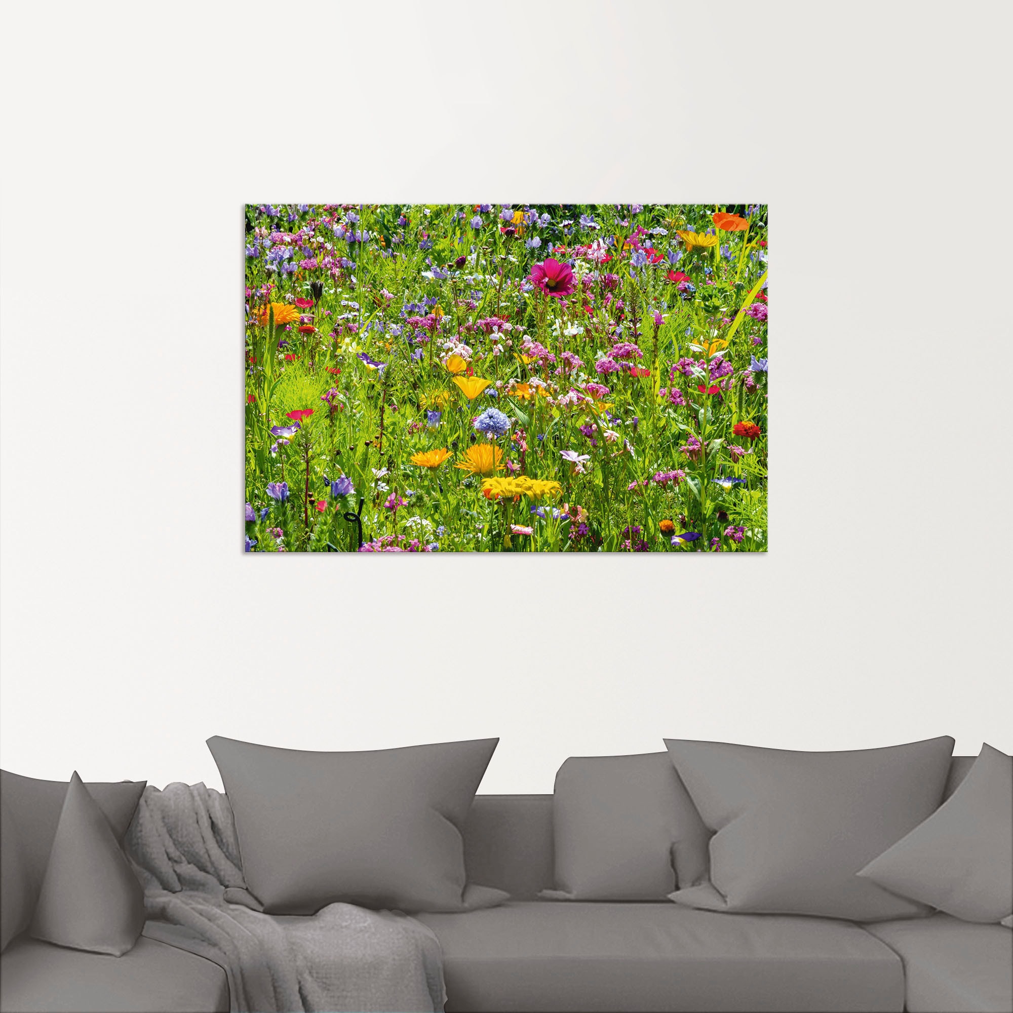 Artland Wandbild »Bunte Blumenwiese« Blumenwiese 1 Stk. tlg. als Alubild, Outdoorbild, Leinwandbild, Poster, Wandaufkleber