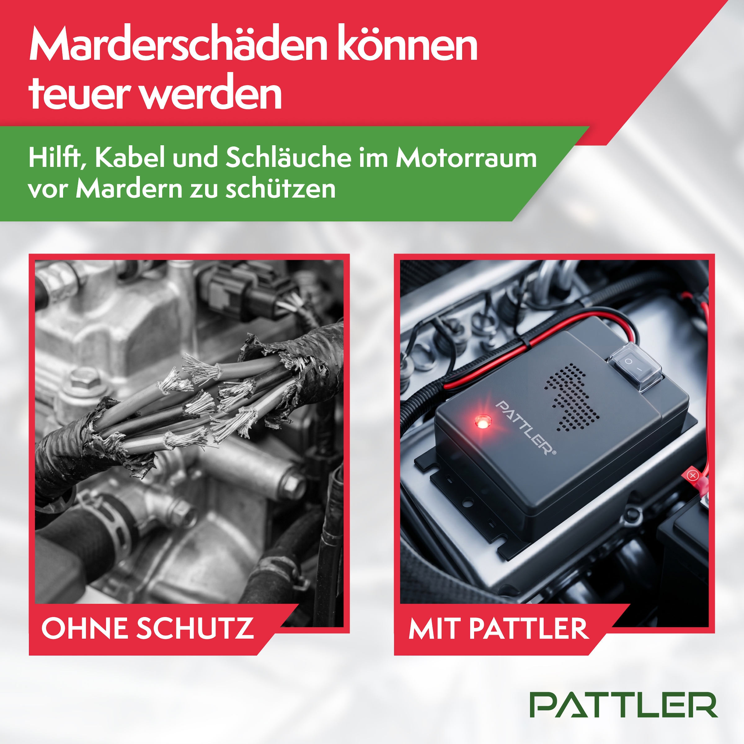 Pattler Ultraschall-Tierabwehr »Marderschreck 12 Volt fürs Auto« 2 Geräte