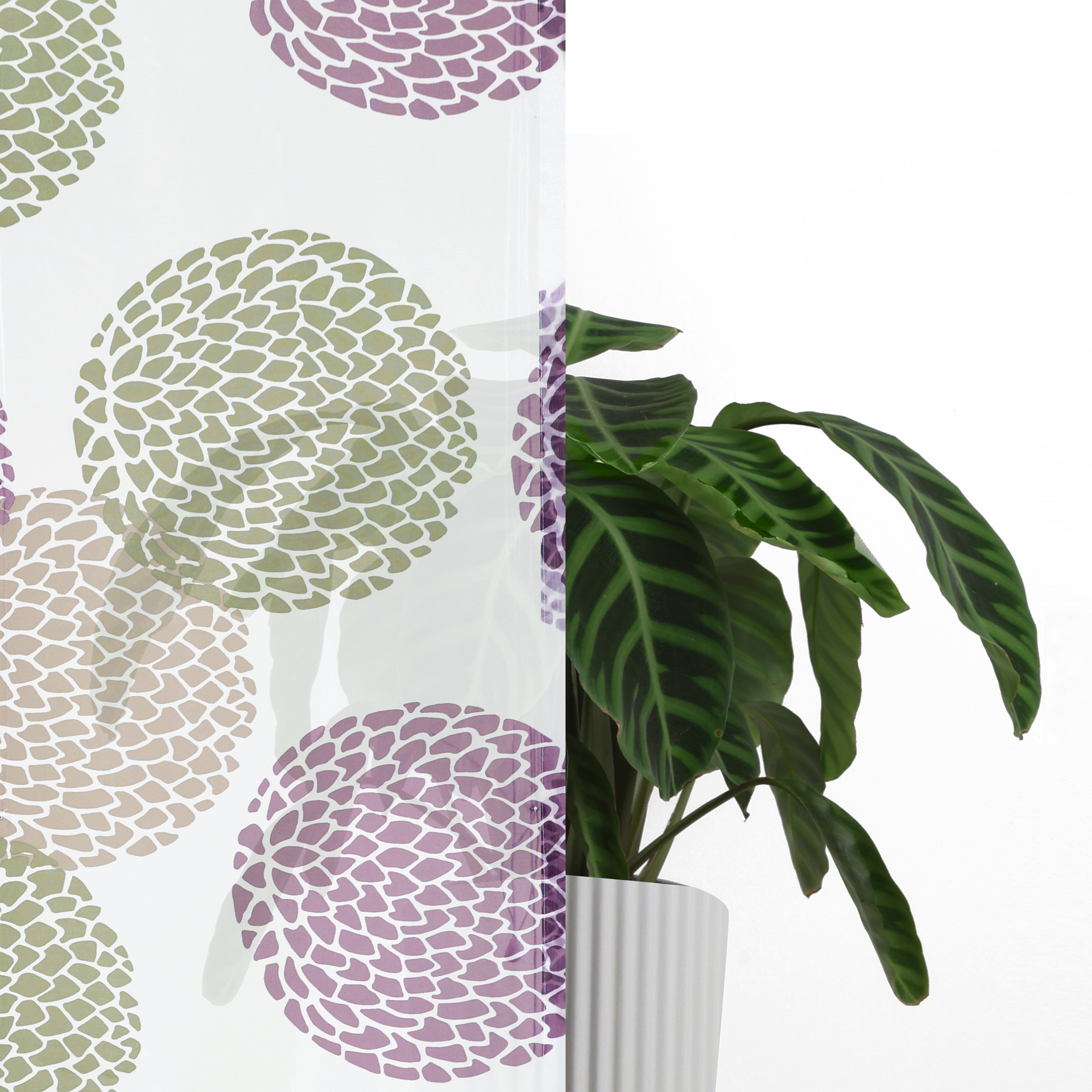 OTTO home Raffrollo »Belem« mit Schlaufen Transparent, Voile, Polyester