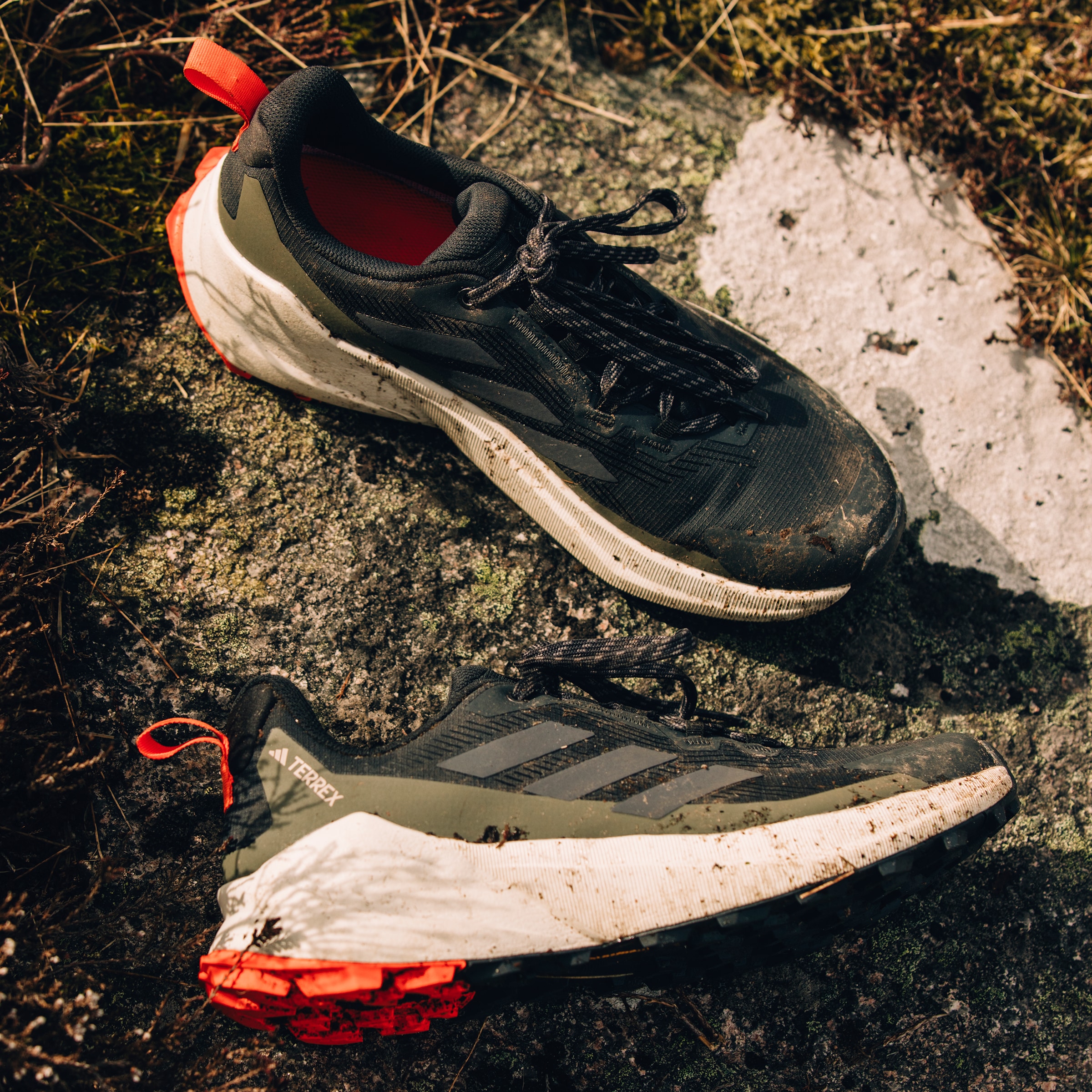 adidas TERREX Wanderschuh »TRAILMAKER 2 GORE-TEX«, wasserdicht