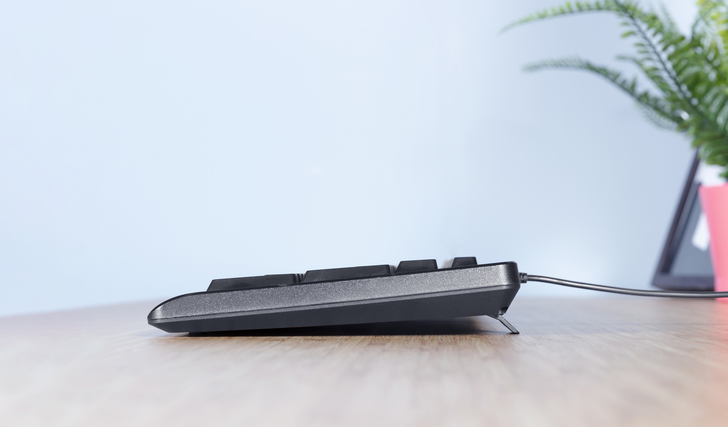 Trust PC-Tastatur »TK-150« (USB-Anschluss | Windows-Sperrtaste | Ziffernblock)