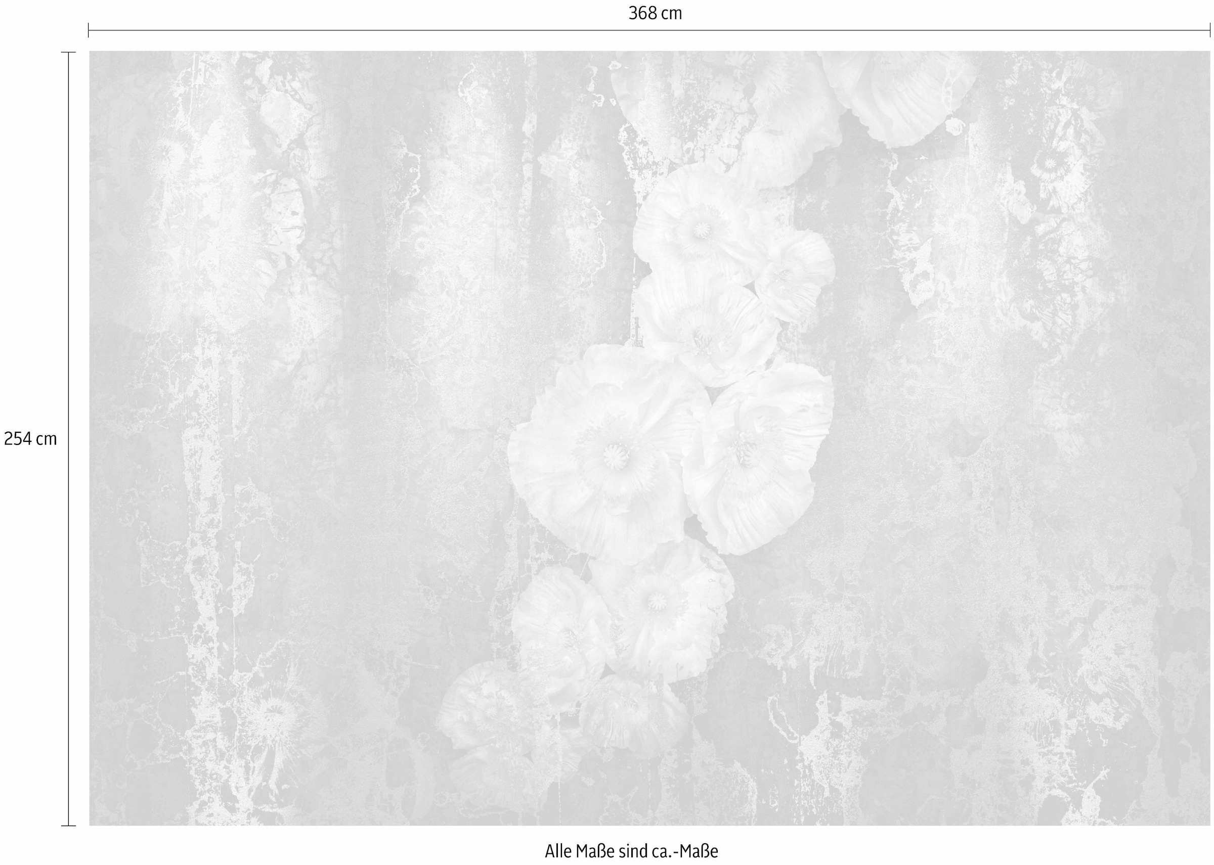 Komar Fototapete »Serafina - Größe 368 x 254 cm« bedruckt glatt Wohnzimmer, Schlafzimmer