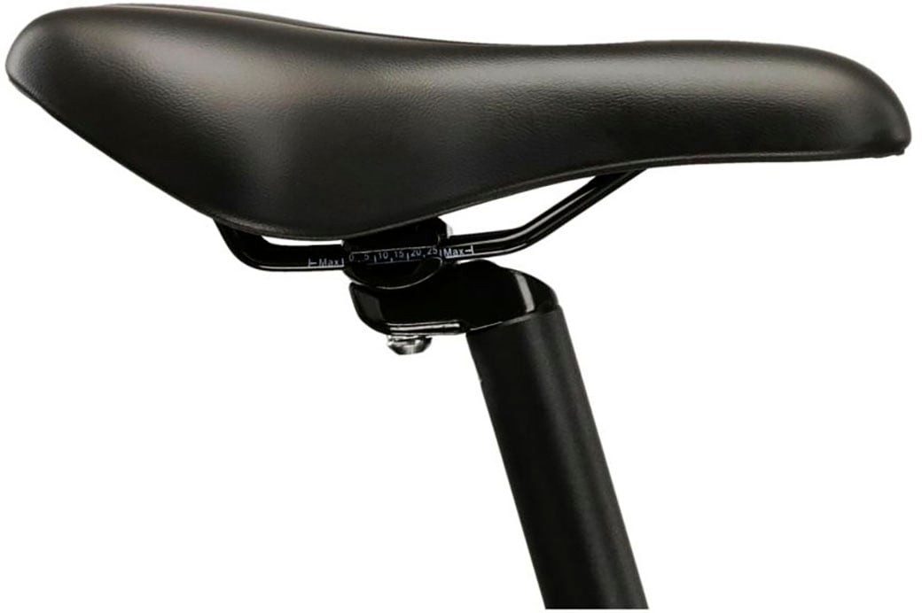 Kross Mountainbike »Damen Hardtail Lea 4.0 EQ«, 16 Gang, Shimano, ACERA M3020 Schaltwerk, Kettenschaltung
