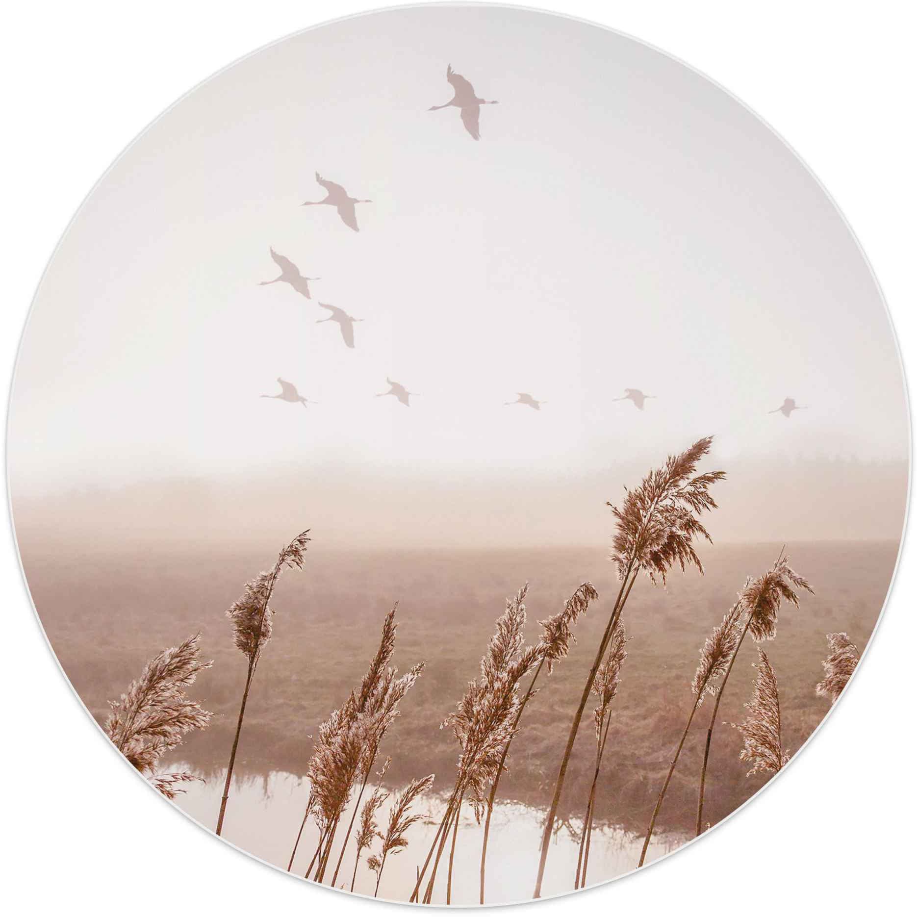 Reinders! Wandbild auf Himmel - Rechnung St.) Sommer Pampasgras - Vögel, Horizont«, Gänse - (1 Fliegende »Wandbild kaufen