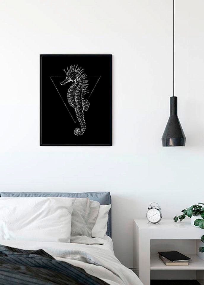 Komar Bild »Sea Horse Black« Tiere 1 Stk. tlg. Wandbild zur Dekoration - ohne Rahmen