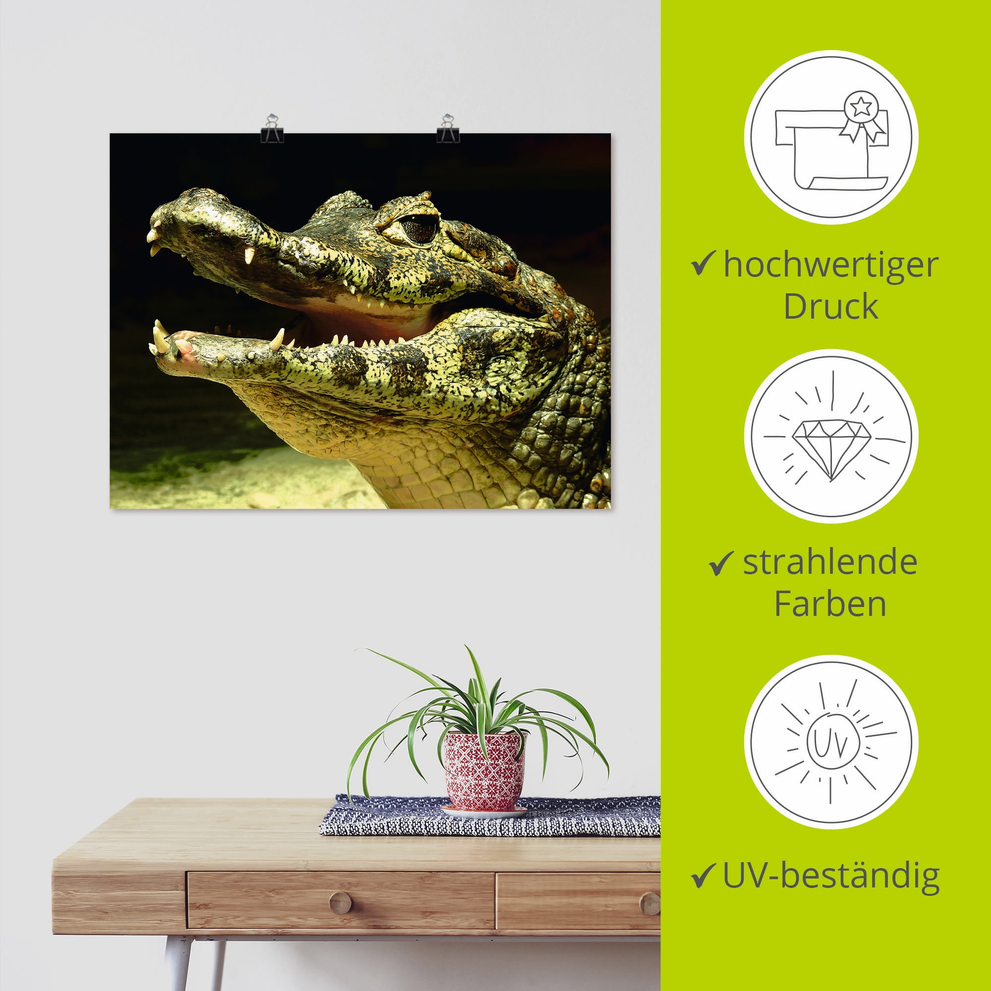 Artland Poster »Ein lächelndes Krokodil« Wassertiere 1 Stk. tlg. ohne Rahmen