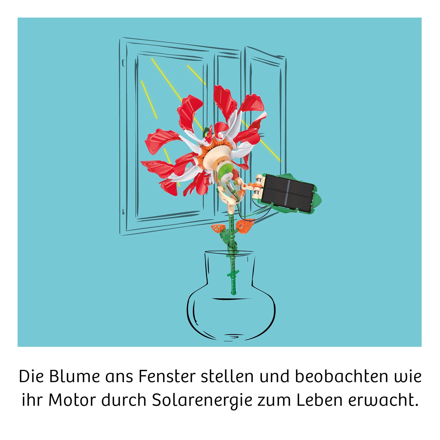 Kosmos Experimentierkasten »Solar-Flower«