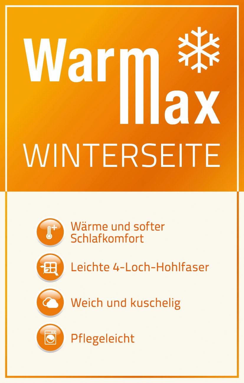 Top-Cool, f.a.n. Füllqualitäten Schlafkomfort 2 Mit (Sommer-/Winterseite) warm, Microfaserbettdecke »Mabona«, kaufen (1 Bezug online St.),