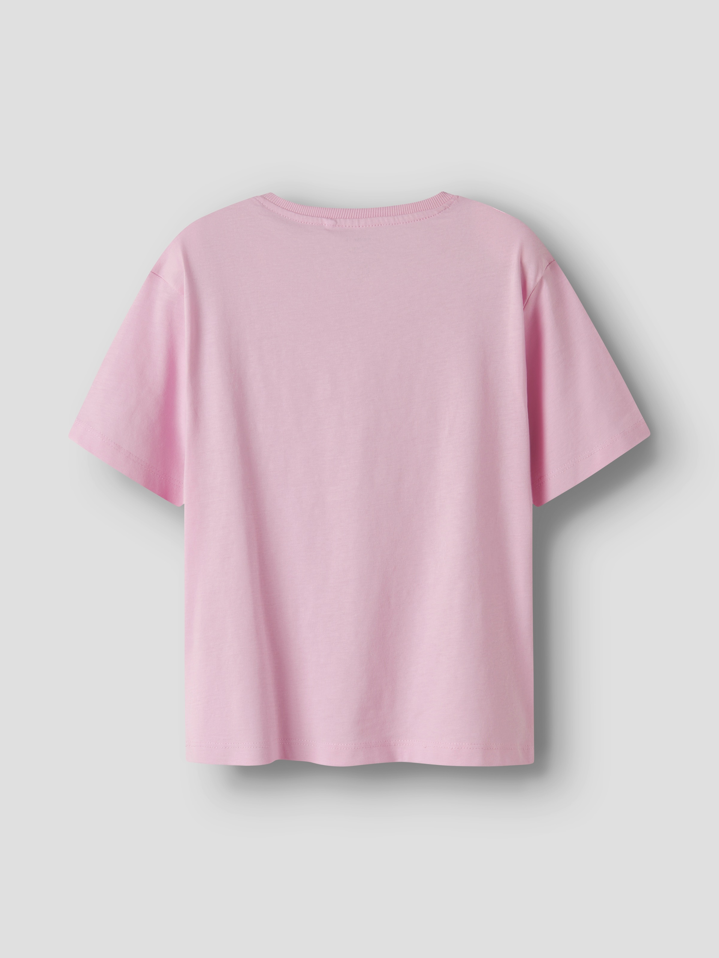 Name It T-Shirt »NKFKASSANDRA 2P SS NREG TOP PB« Packung, 2 Stk.