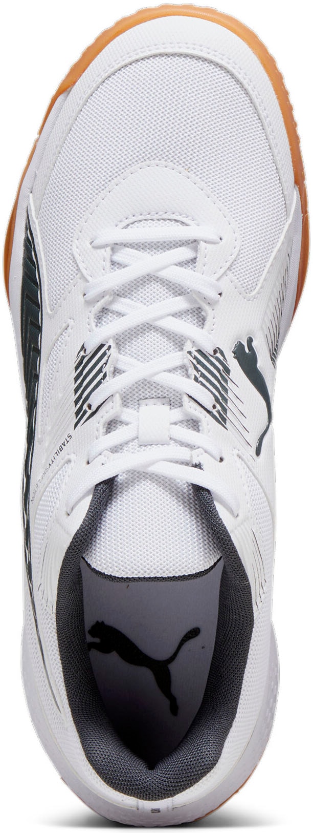 PUMA Hallenschuh »SOLARFLASH II«