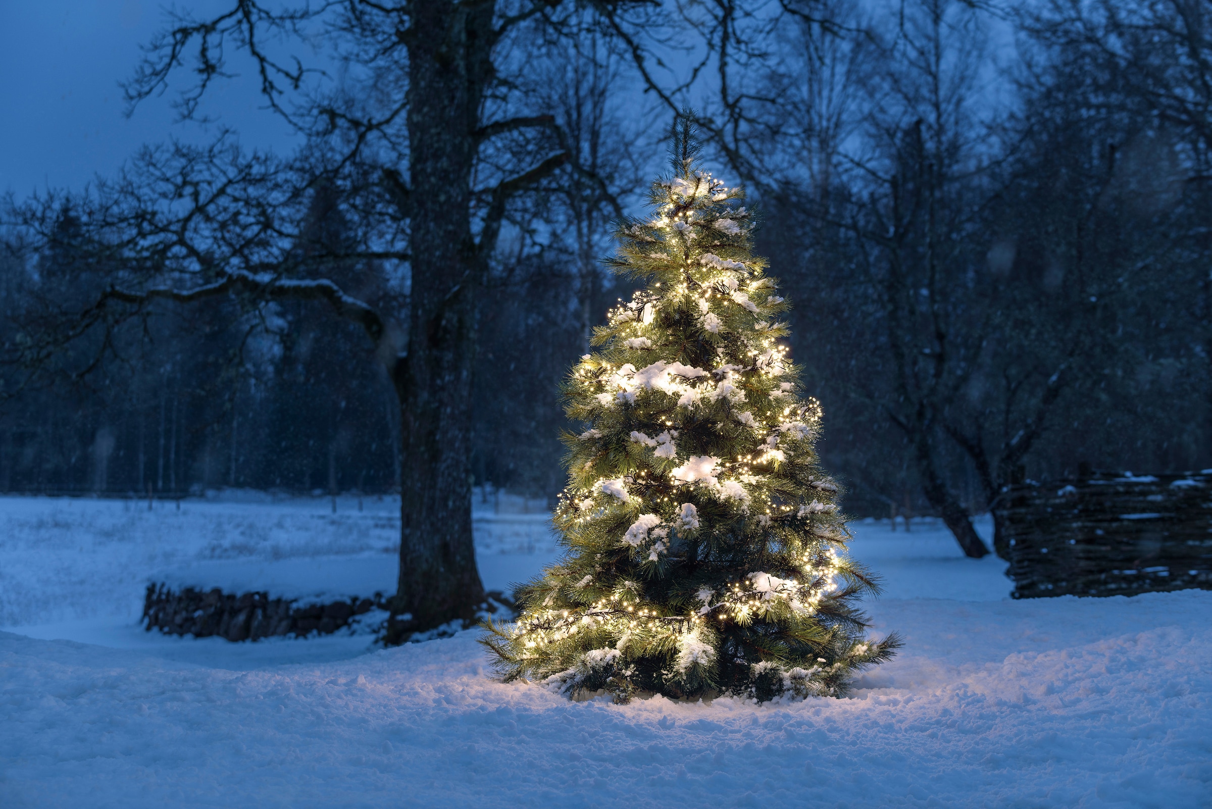 KONSTSMIDE LED-Lichterkette »Büschellichterkette Cluster, Weihnachtsdeko aussen«, mit 8 Funktionen und 1152 warmweißen Dioden