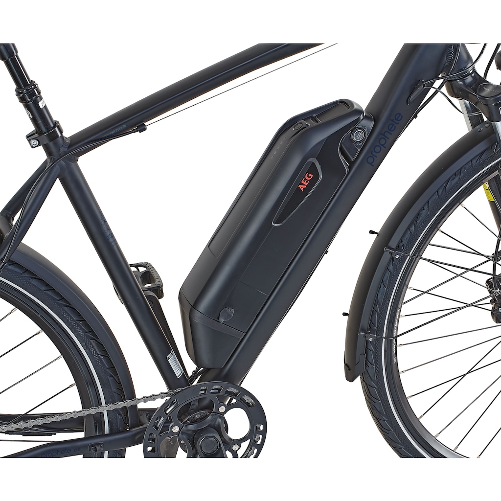 Prophete E-Bike »Prophete Entdecker e2000 Damen«, 10 Gang, Shimano, Deore XT, Heckmotor 250 W, (mit Gepäckträgertasche-mit Lenkertasche)