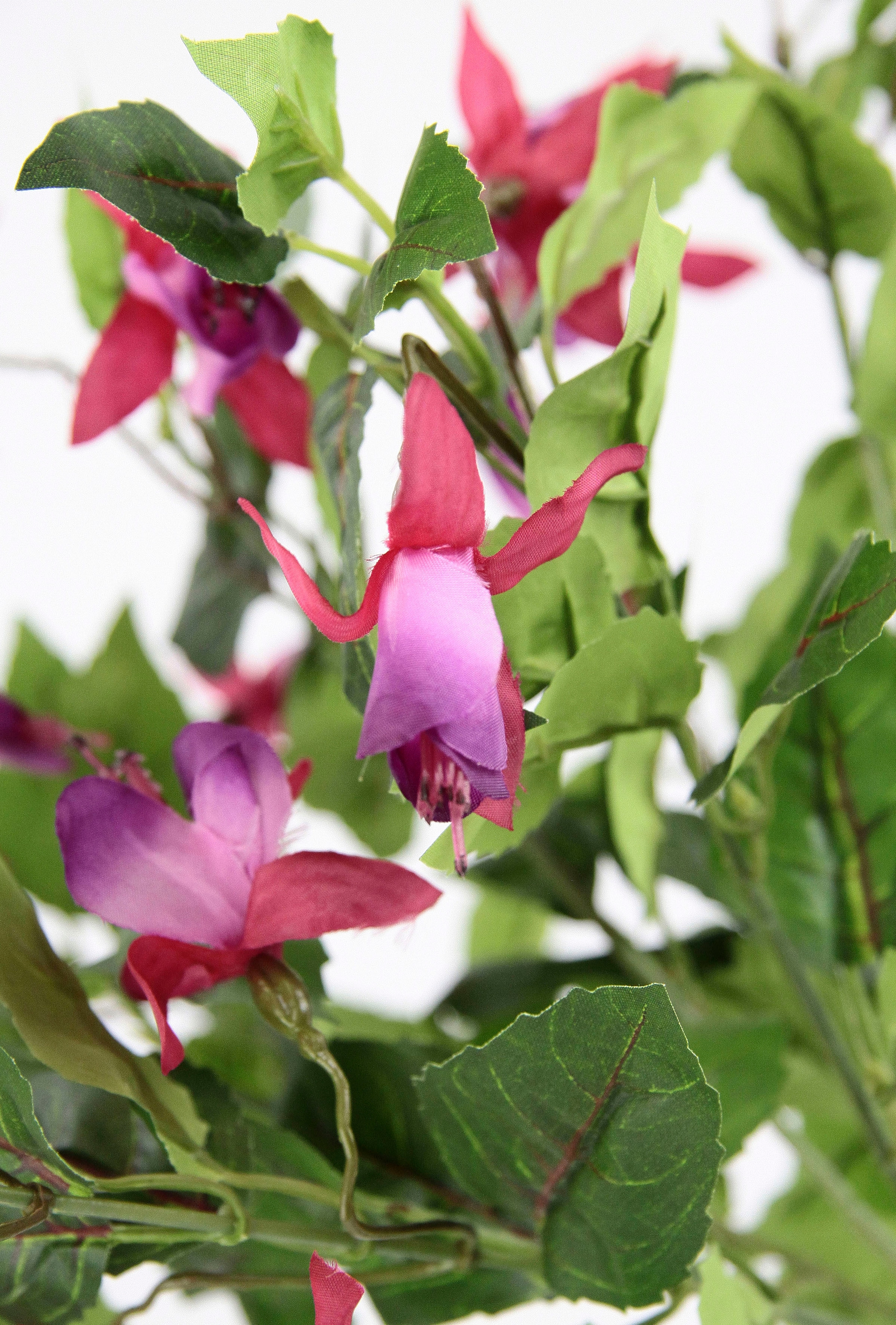I.GE.A. Kunstblume Rechnung Topfpflanze 2er kaufen »Fuchsienbusch«, Set Hybrid Doppelblütenblätter auf Zimmerpflanze Deko Hort