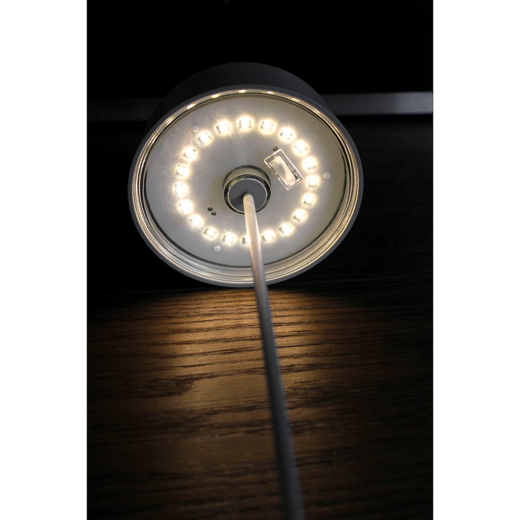 ECO-LIGHT LED Tischleuchte »COCKTAIL«