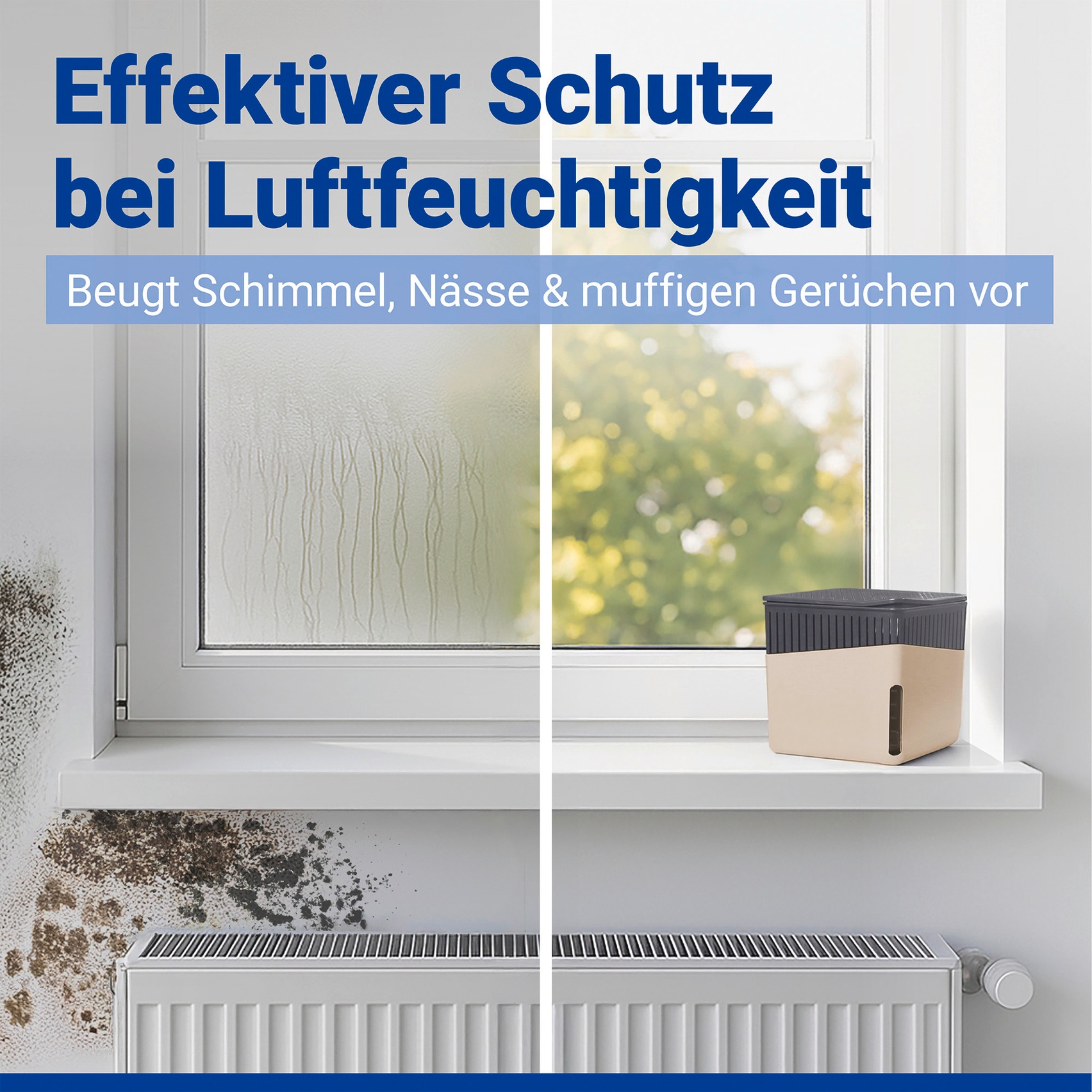 WENKO Luftentfeuchter »Modell Cube« für 40 m³ Räume Tank 0,8 l mit 2 x 500 g Entfeuchter-Blöcken, für Räume bis 40 m³