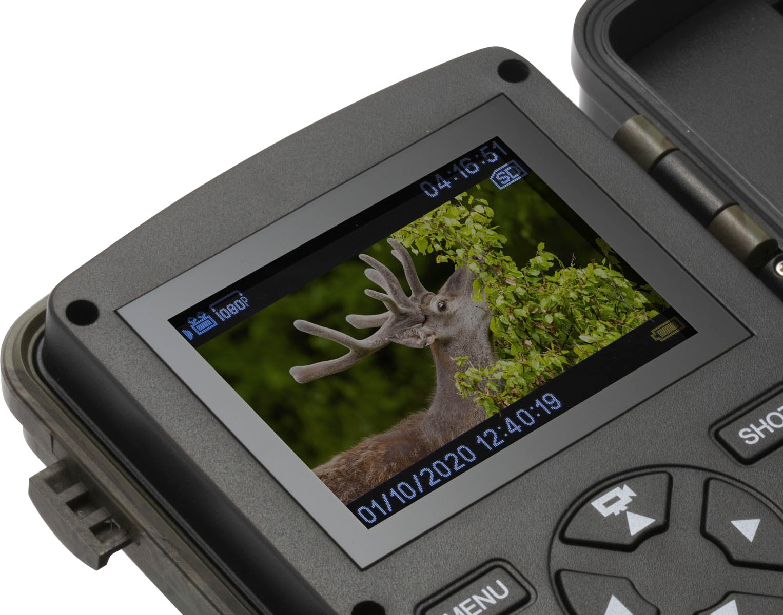 Technaxx Wildkamera »Nature Wild Cam TX-160«, Außenbereich