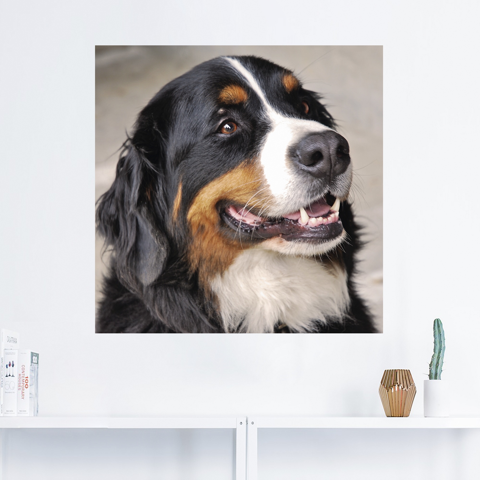 Artland Wandbild »Berner Sennenhund«, Haustiere, (1 St.), als Poster, Wandaufkleber in verschied. Größen
