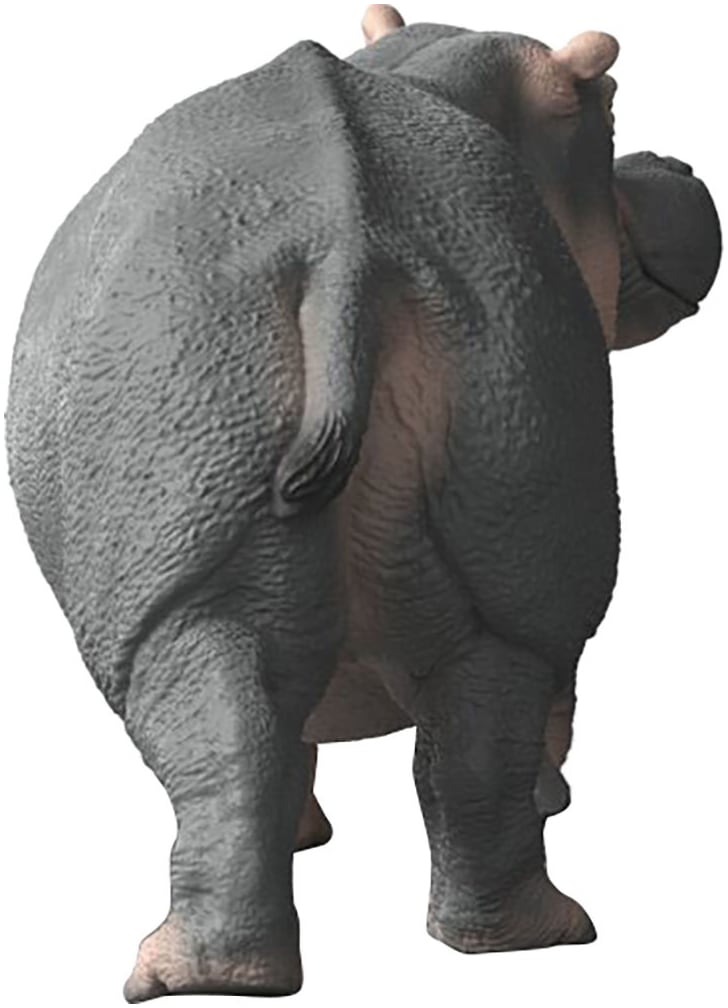 Schleich® Spielfigur »WILD LIFE, Flusspferd (14938)«