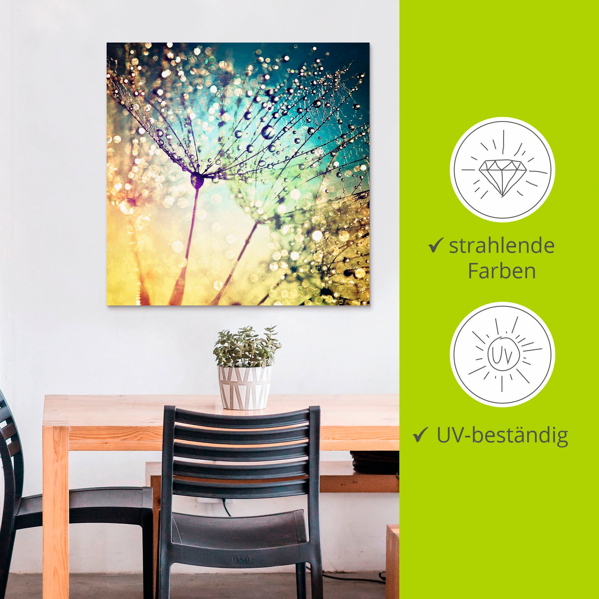 Artland Wandbild »Pusteblume Zaubertropfen«, Blumen, (1 St.), als Alubild, Outdoorbild, Leinwandbild, Poster, Wandaufkleber