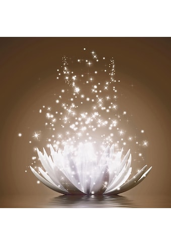 Home affaire Bild »V. Georgiev: Magie der Lotus-Blume« kaufen