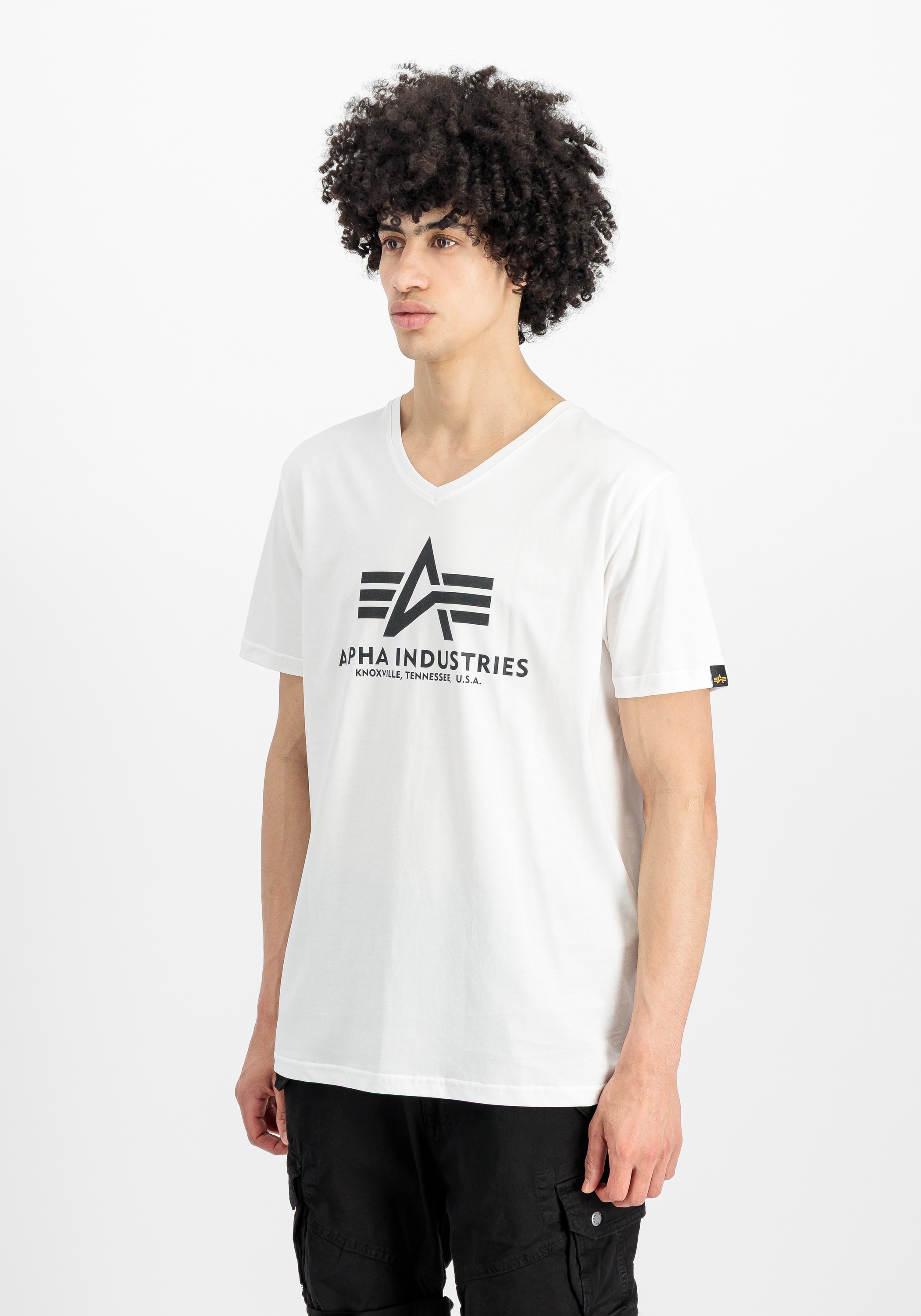Alpha Industries T-Shirt »Basic T-Shirt BL V-Neck«