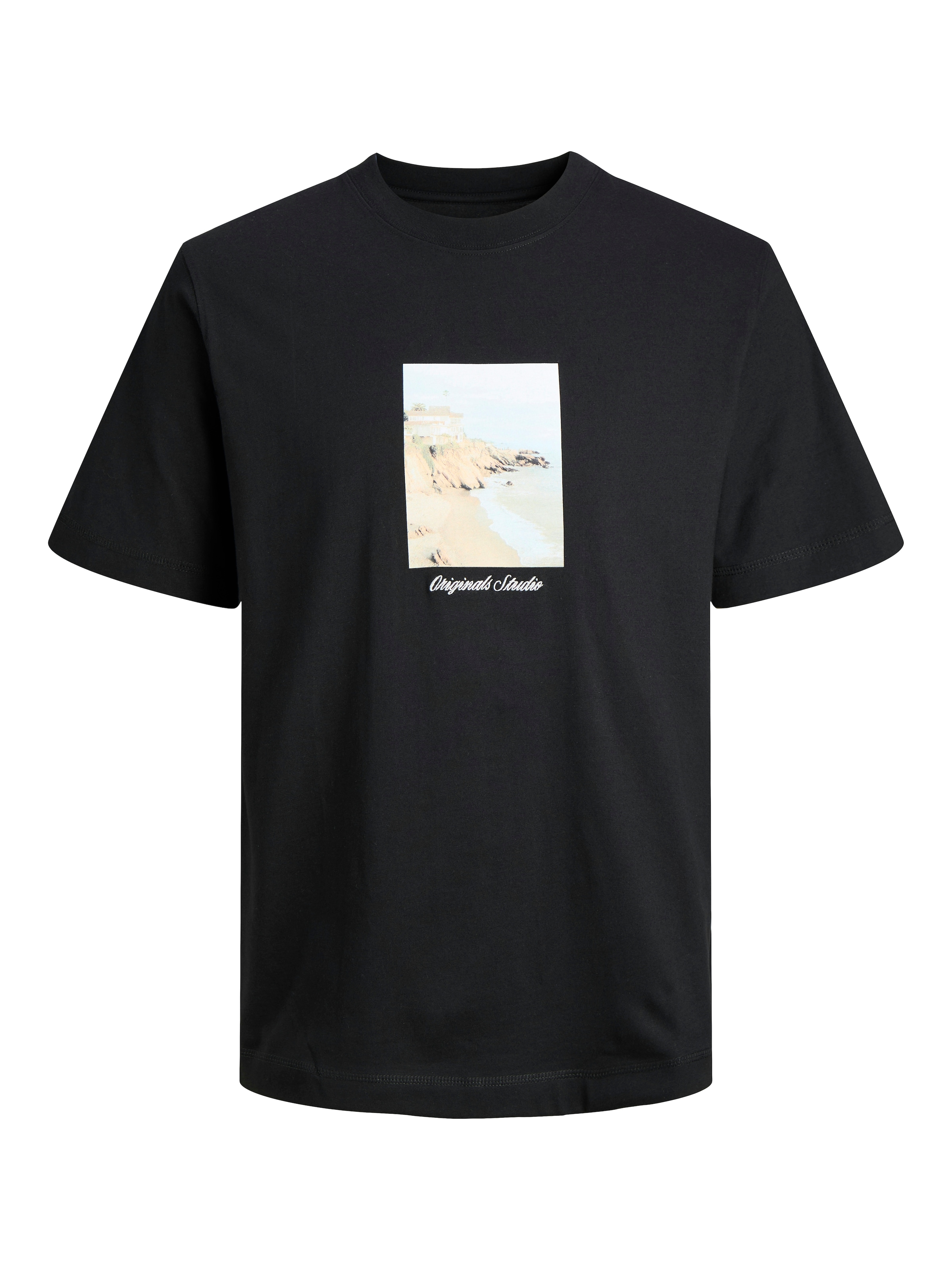 Jack & Jones T-Shirt »JORNORREBRO PHOTO TEE SS CREW NECK« Baumwolle, relaxed fit