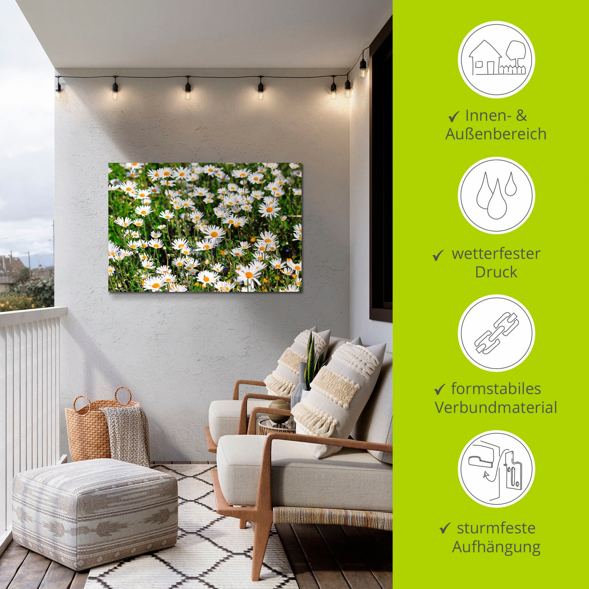 Artland Alu-Dibond-Druck »Gänseblümchen« Blumen 1 Stk. tlg. für Innen- und Außenbereich geeignet, Outdoorbild