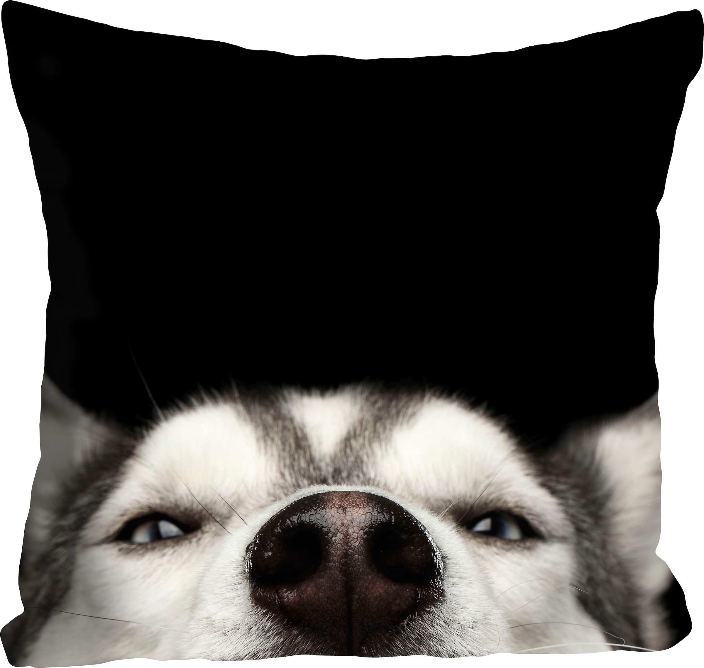 queence Dekokissen »Husky«, mit einem neugierigen Husky