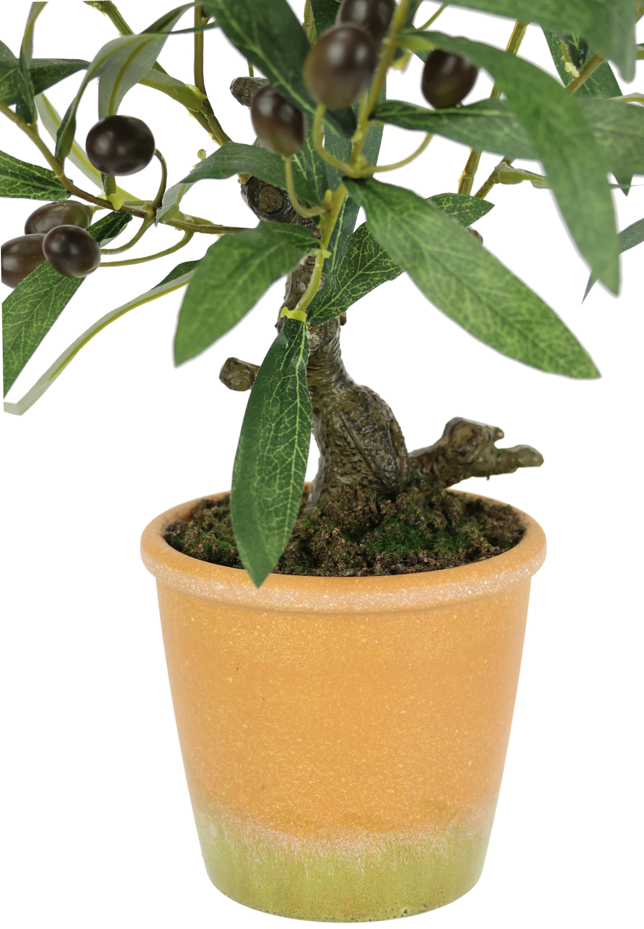 I.GE.A. Kunstpflanze »Künstlicher Olivenbaum mit schwarzen Früchten«, Olive Mediterran Ölbaum Grünpflanze Kunstbaum Dekobaum Baum