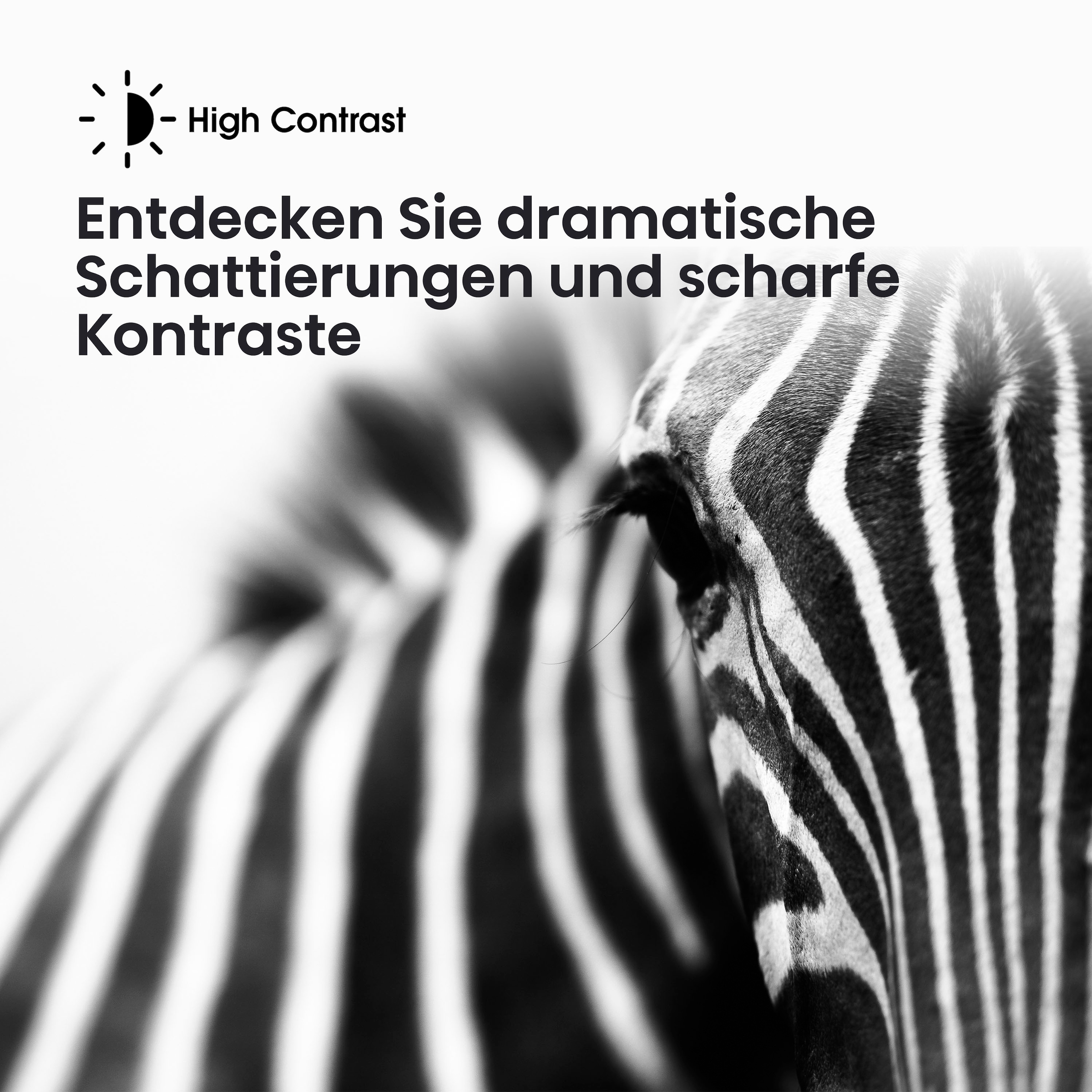Hisense LED-Fernseher »32E41KT«, HD, Smart-TV,Triple Tuner DVB-T2 / T/C / S2 / S