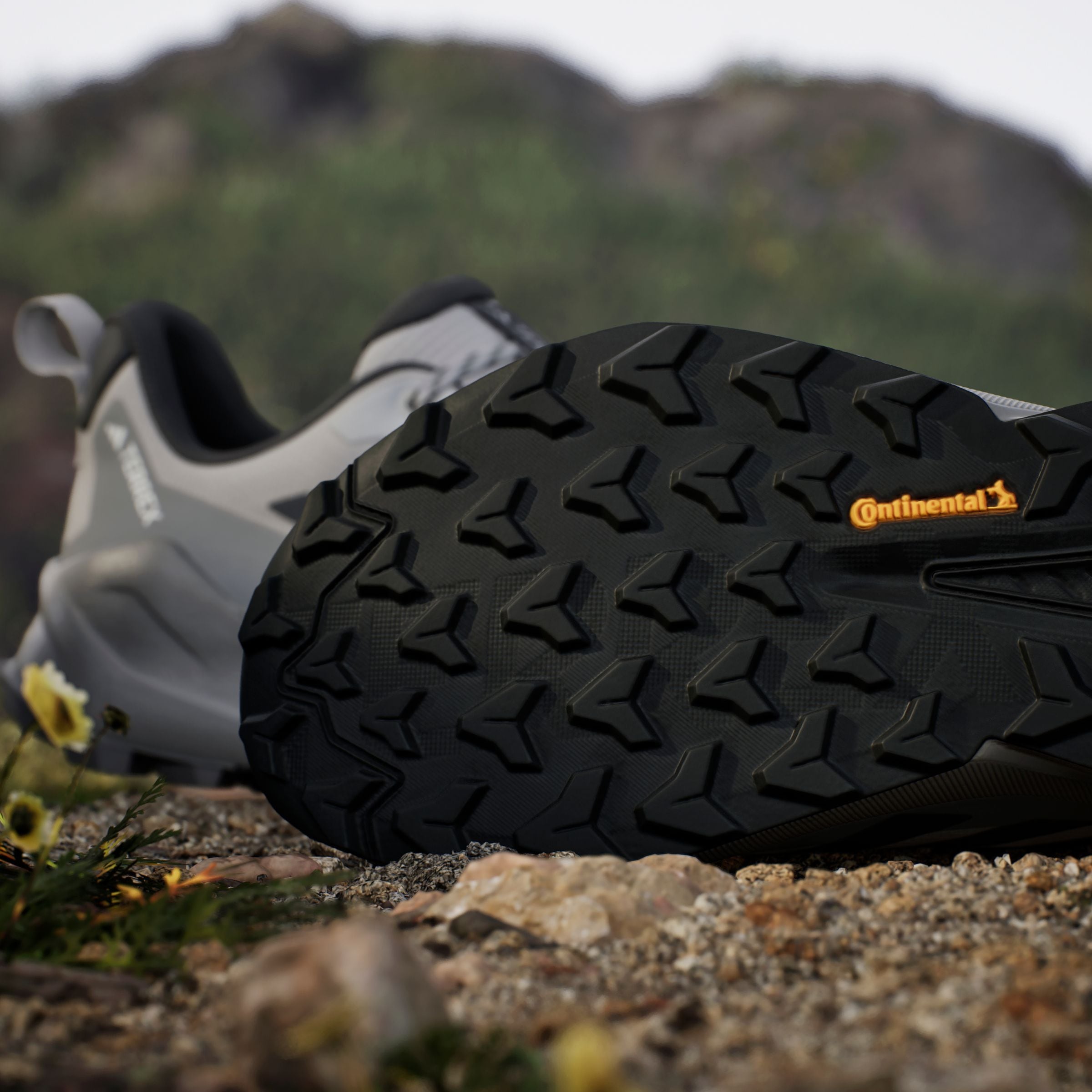 adidas TERREX Wanderschuh »TERREX TRAILMAKER 2 GORE-TEX«  wasserdicht