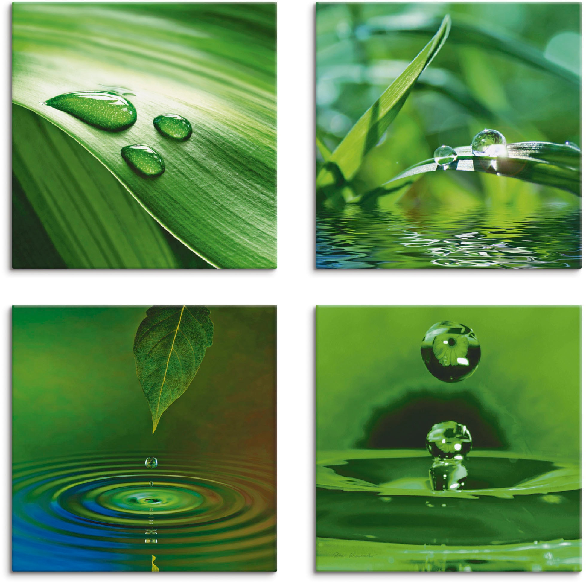 Leinwandbild »Blatt Gras Wassertropfen«, Zen, (4 St.), 4er Set, verschiedene Größen