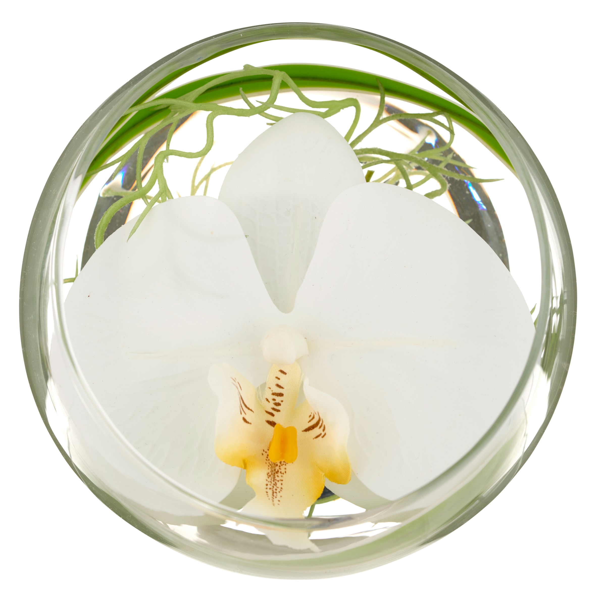 Creativ green Kunstblume »Glasgefäß mit Orchideenblüte«, als elegantes Arrangement