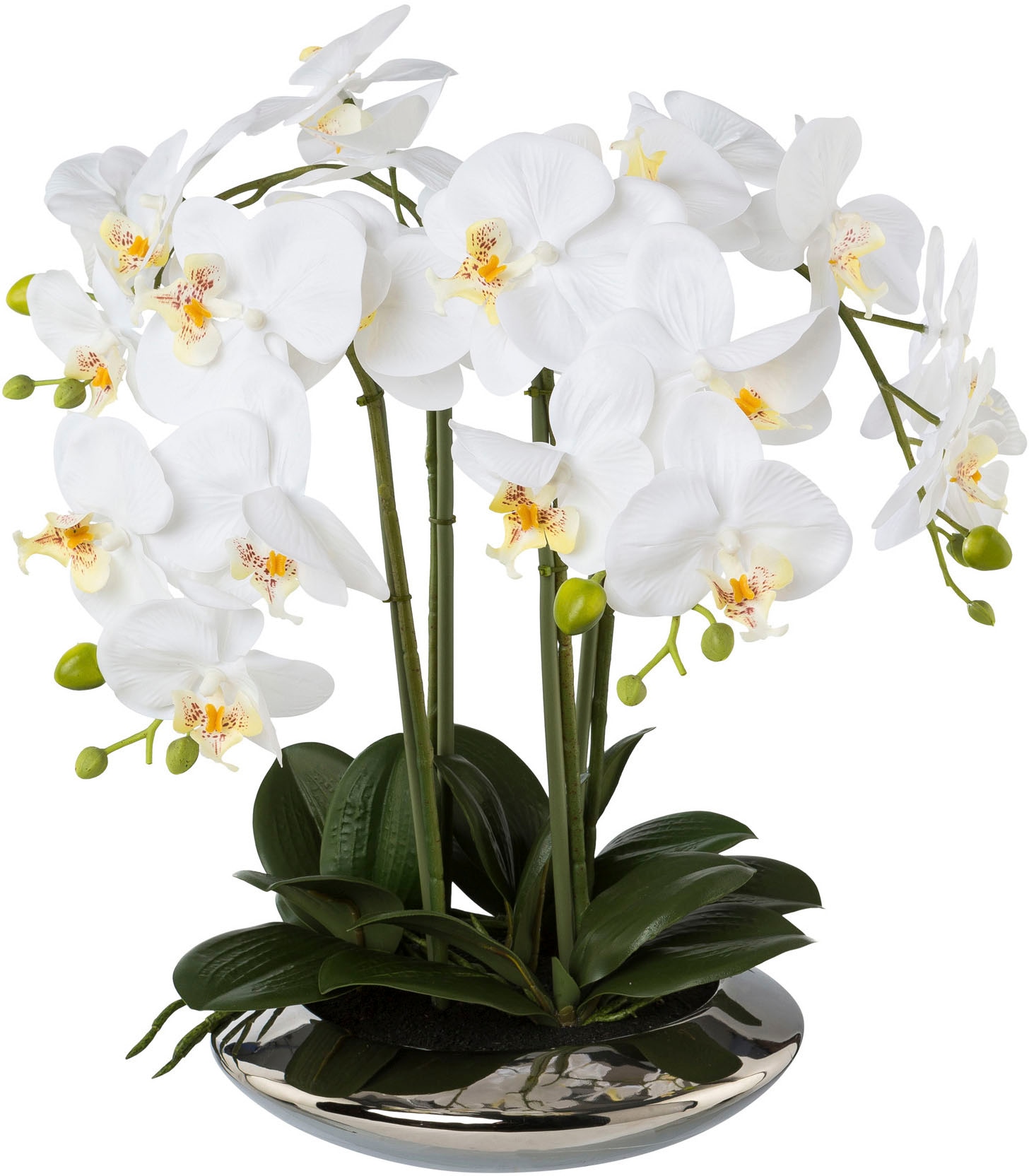 Kunstorchidee »Deko-Orchidee Phalaenopsis in Keramikschale«